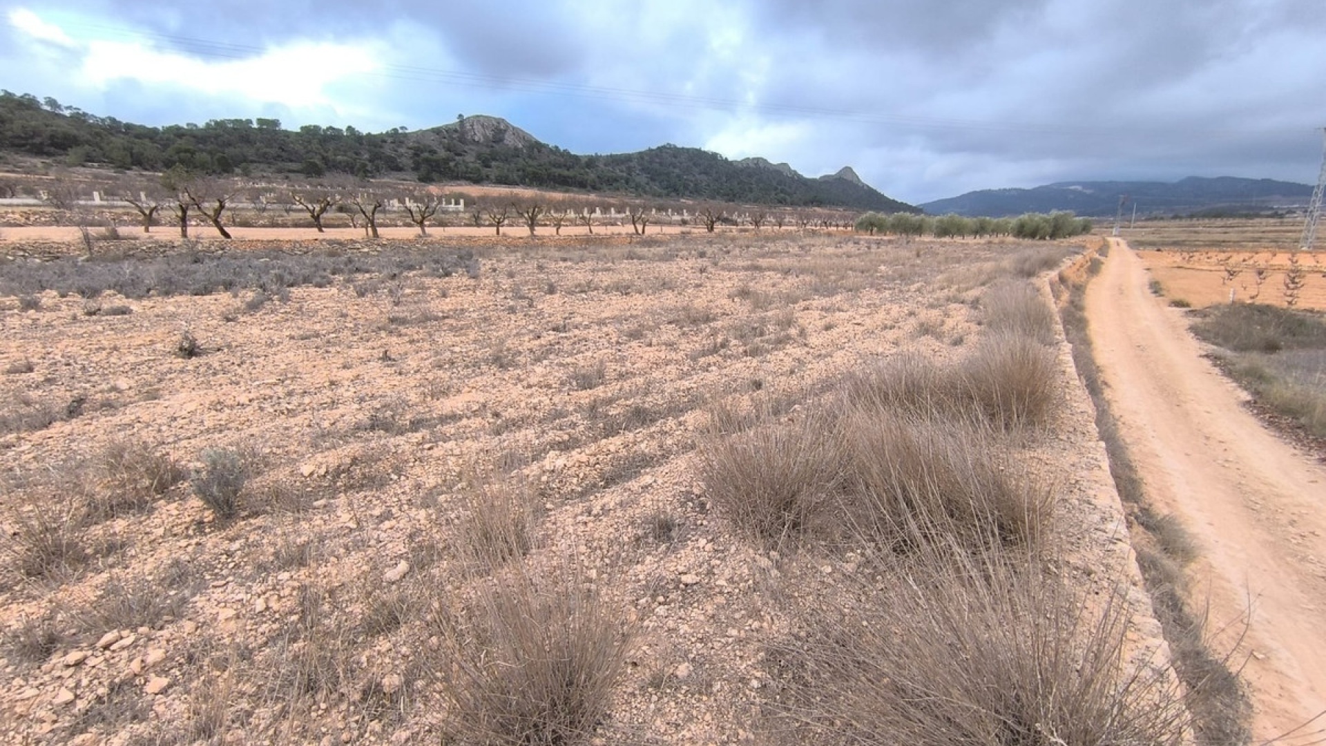 Resale - Land - Jalon - La Solana