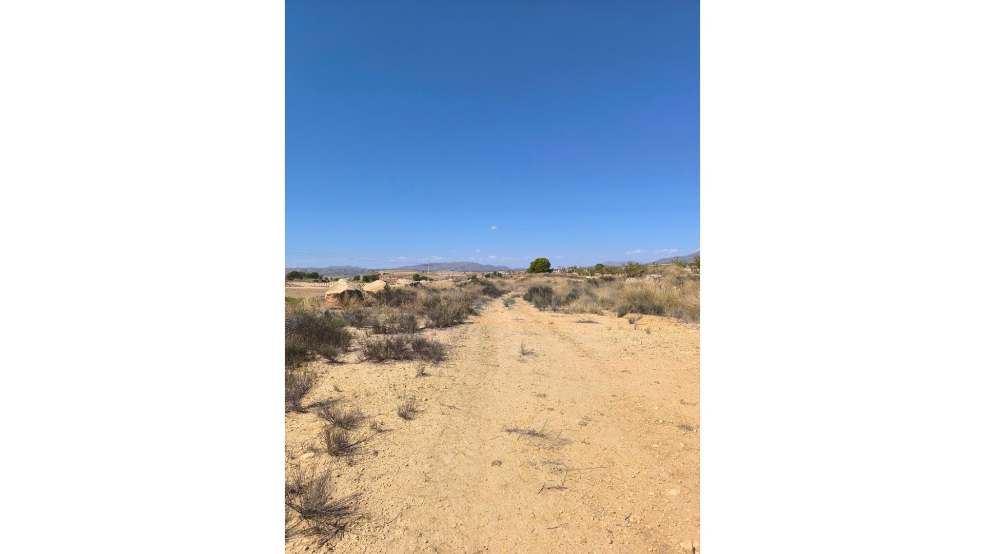 Resale - Land - Jumilla - Jumilla Centro