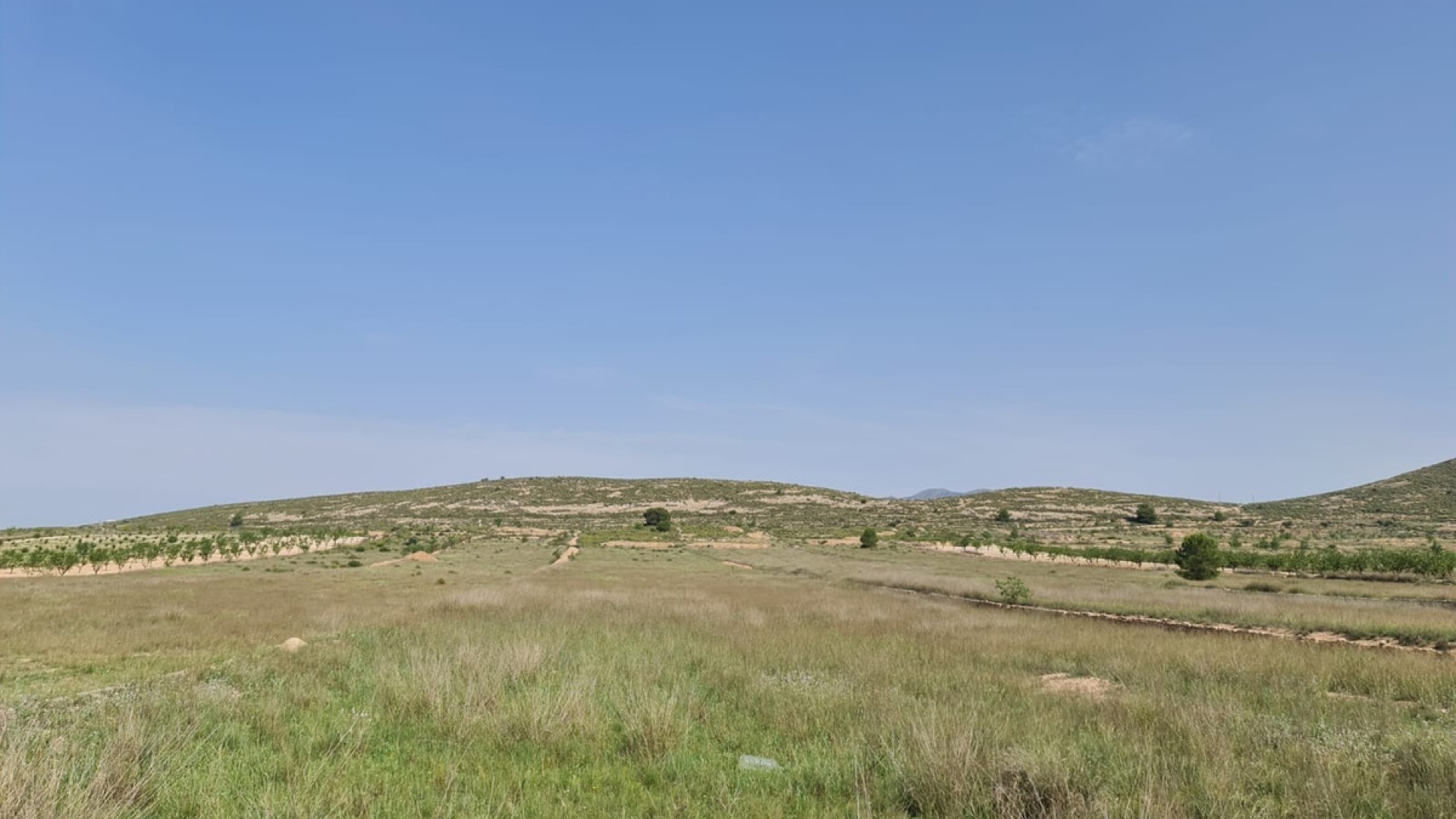 Resale - Land - Jumilla - Jumilla Centro