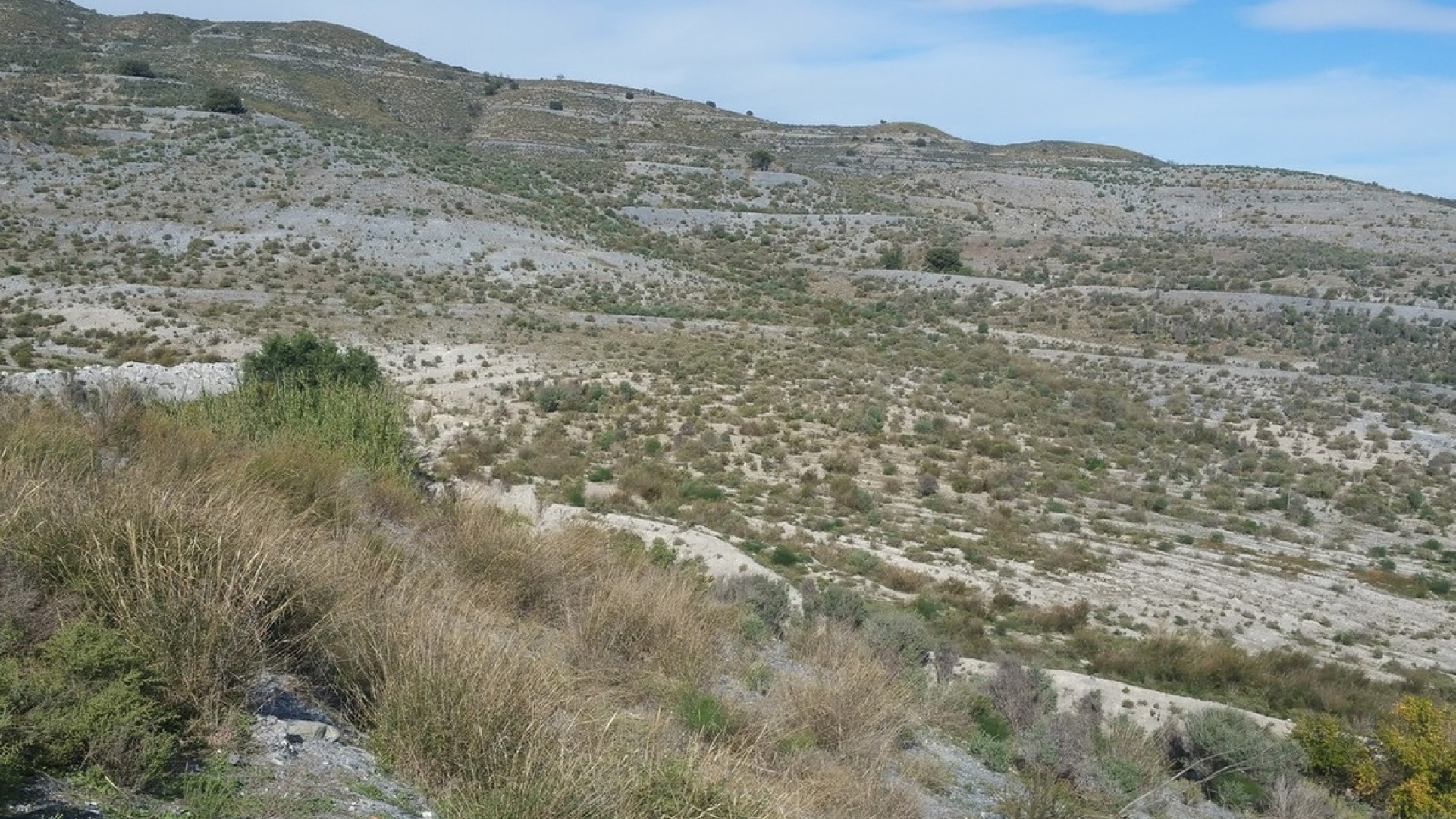 Resale - Land - Lorca - Lorca Centro