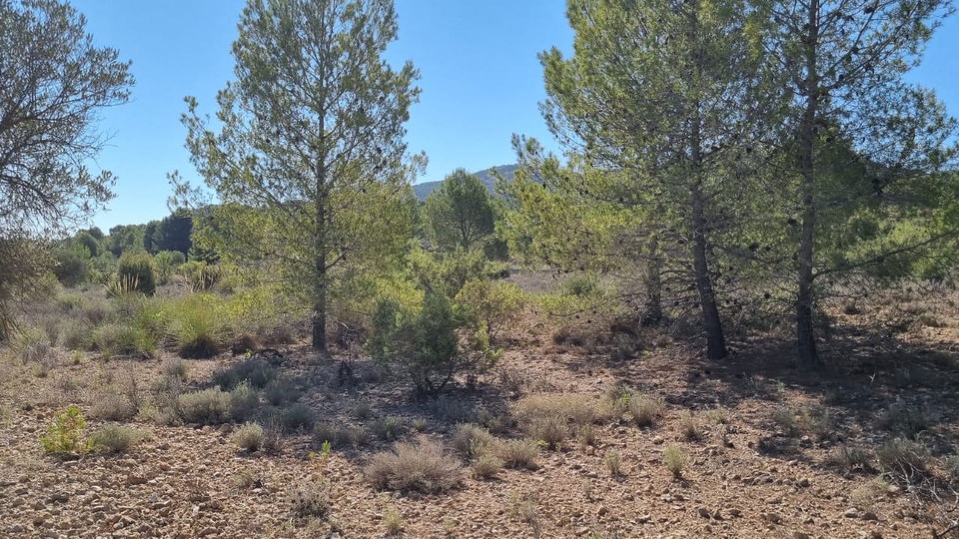 Resale - Land - Monóvar - Monòver - Casas del Señor