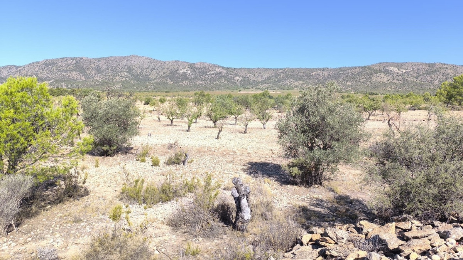 Resale - Land - Monóvar - Monòver - Monóvar - Monòver Centro