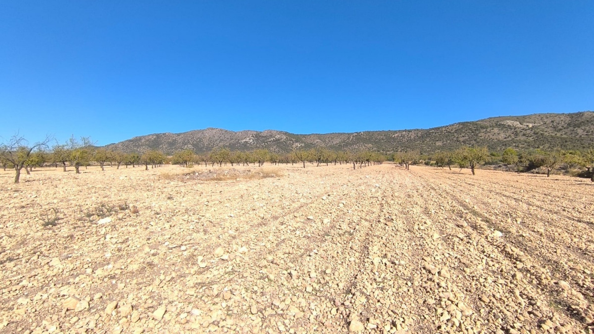 Resale - Land - Monóvar - Monòver - Monóvar - Monòver Centro