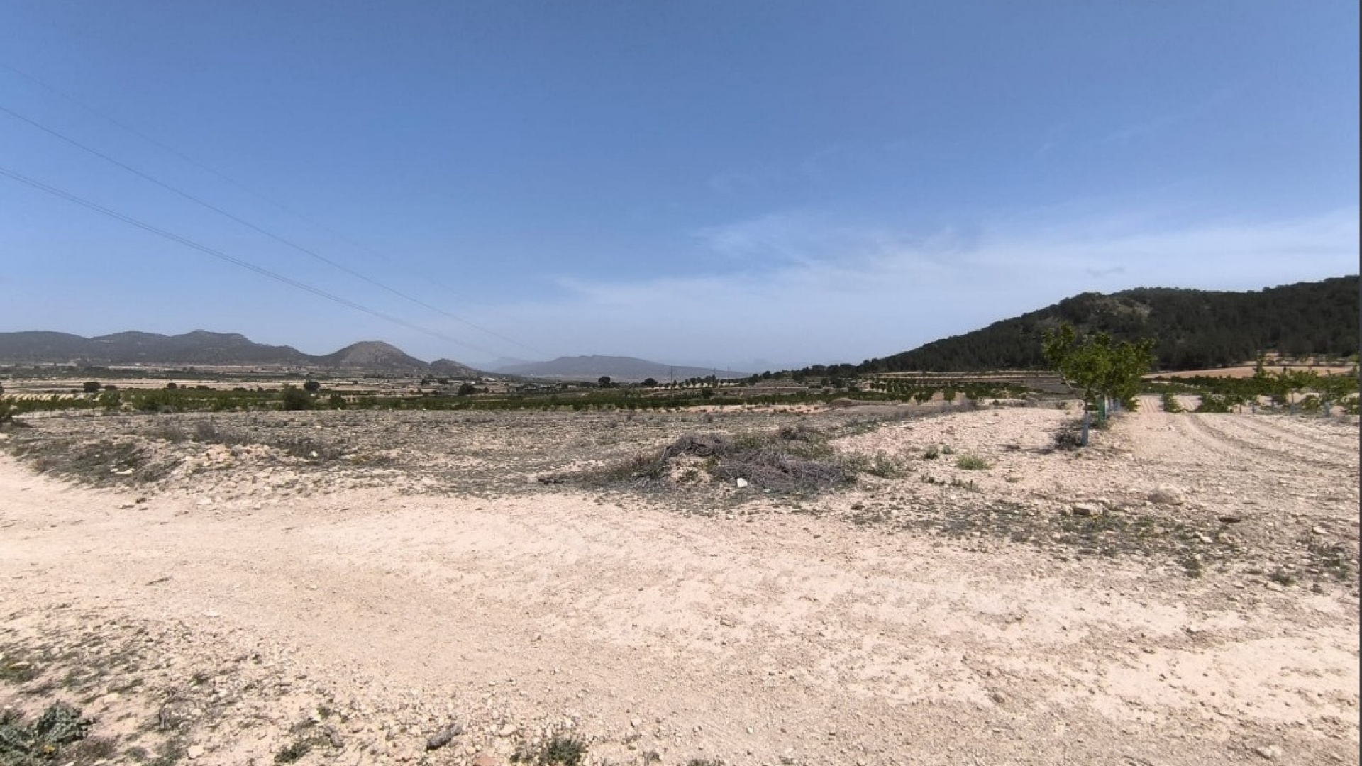 Resale - Land - Monóvar - Monòver - Monóvar - Monòver Centro