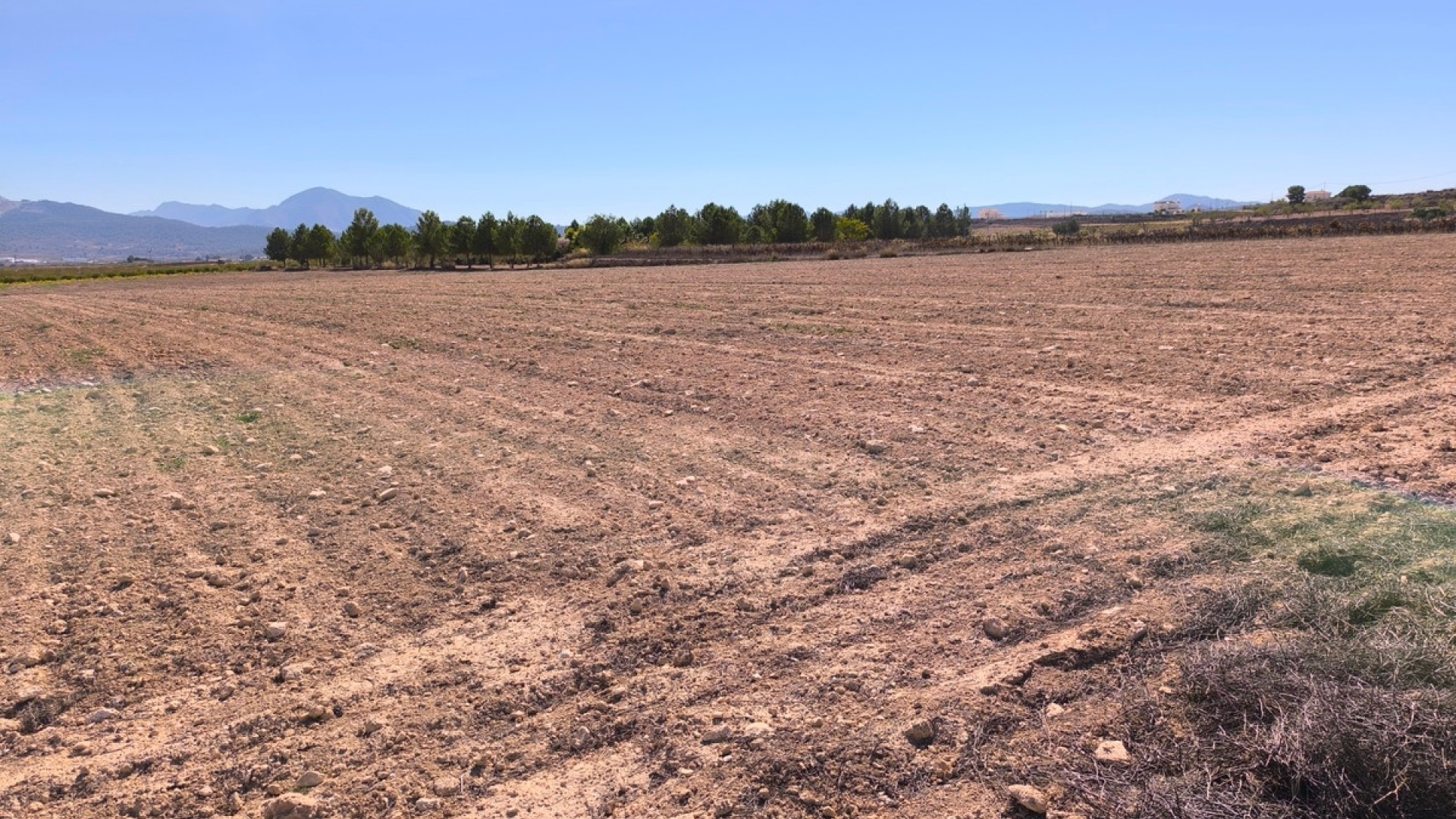 Resale - Land - Pinoso - Pinoso Centro