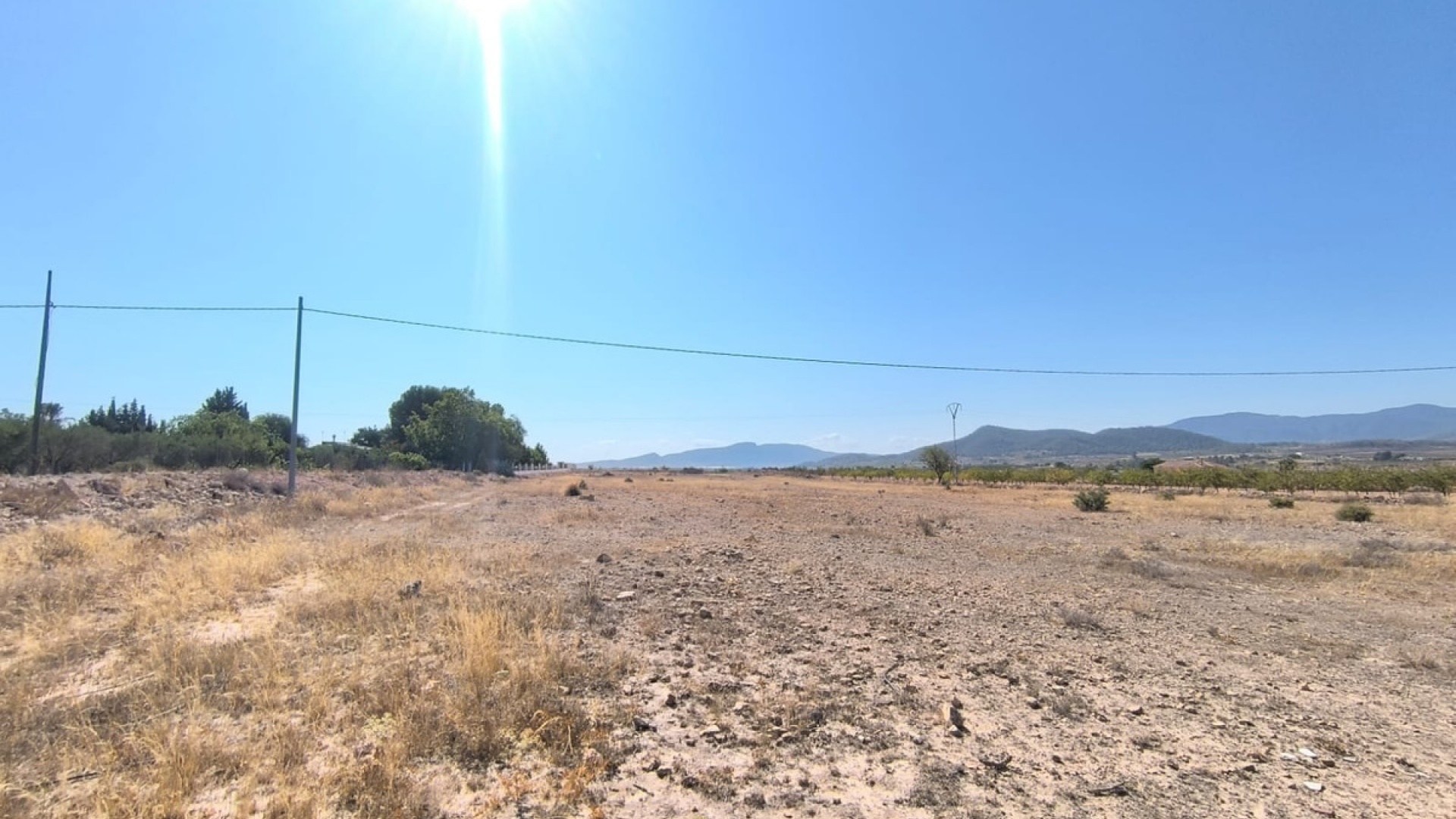 Resale - Land - Pinoso - Pinoso Centro