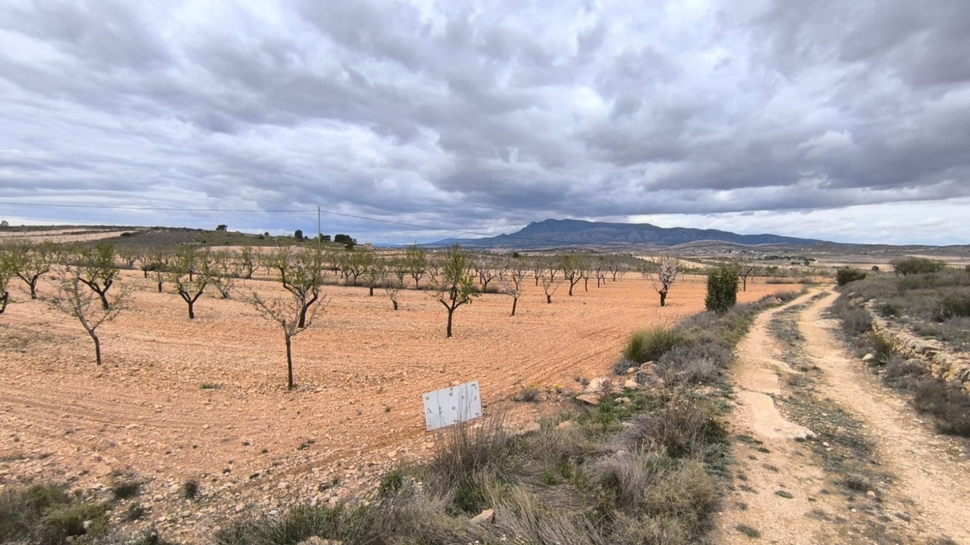 Resale - Land - Pinoso - Pinoso Centro