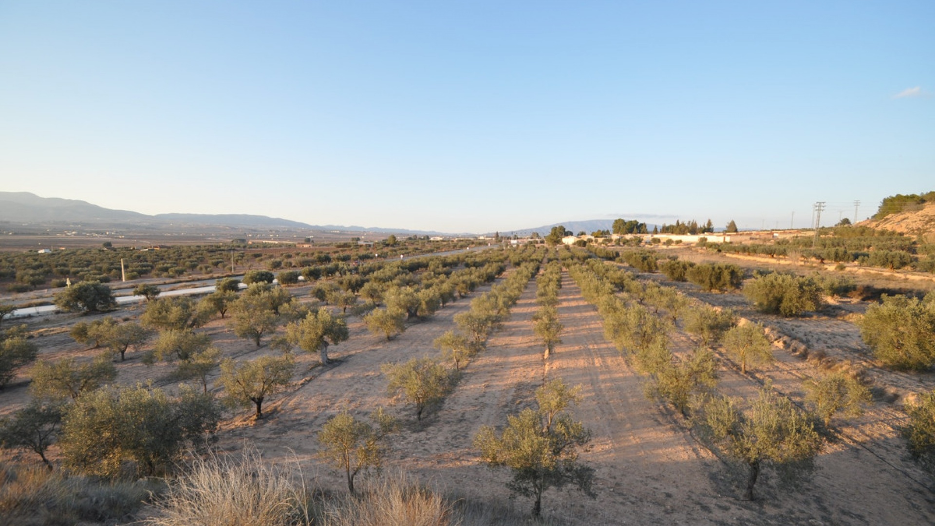 Resale - Land - Pinoso - Pinoso Centro
