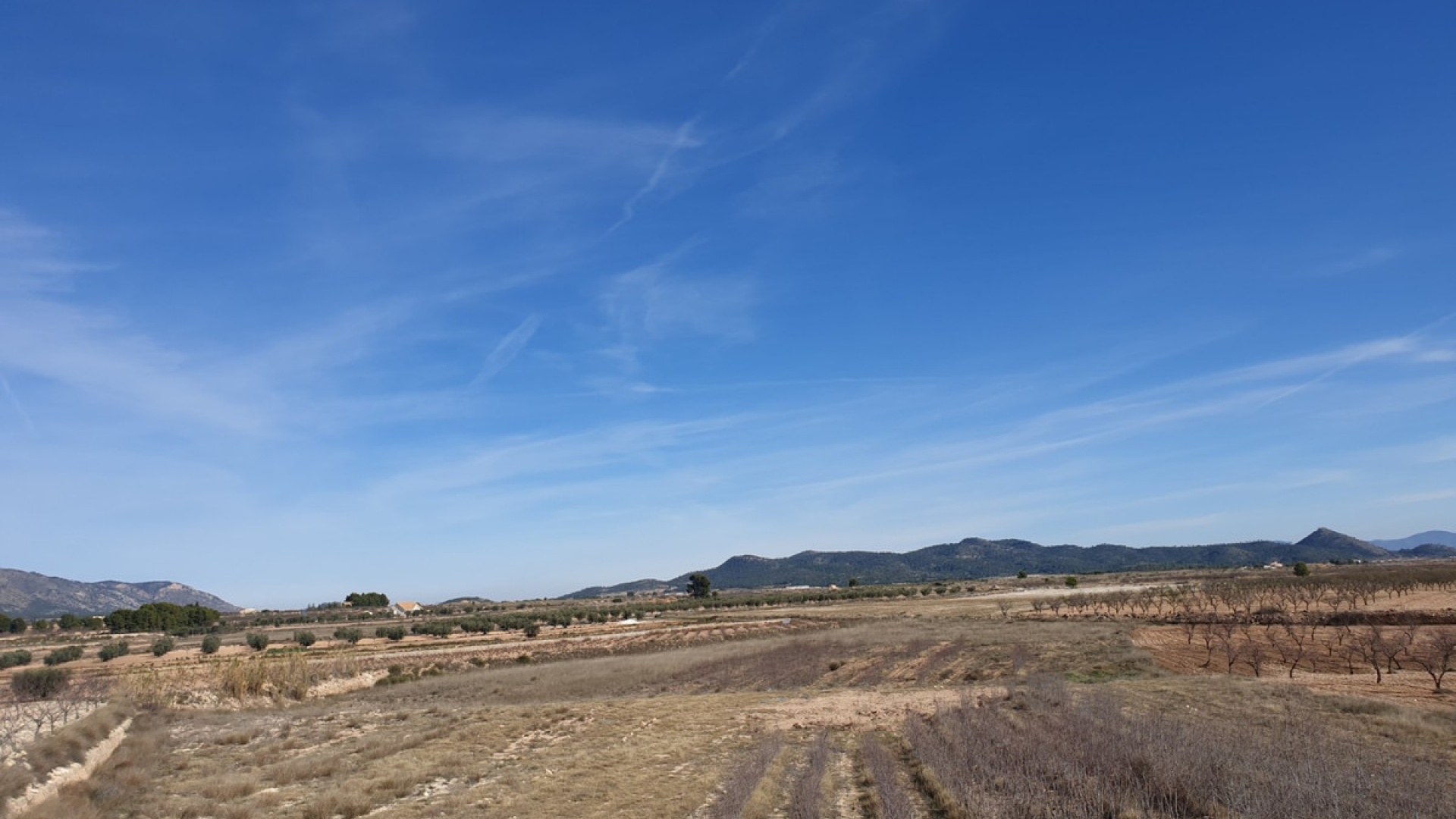 Resale - Land - Pinoso - Pinoso Centro