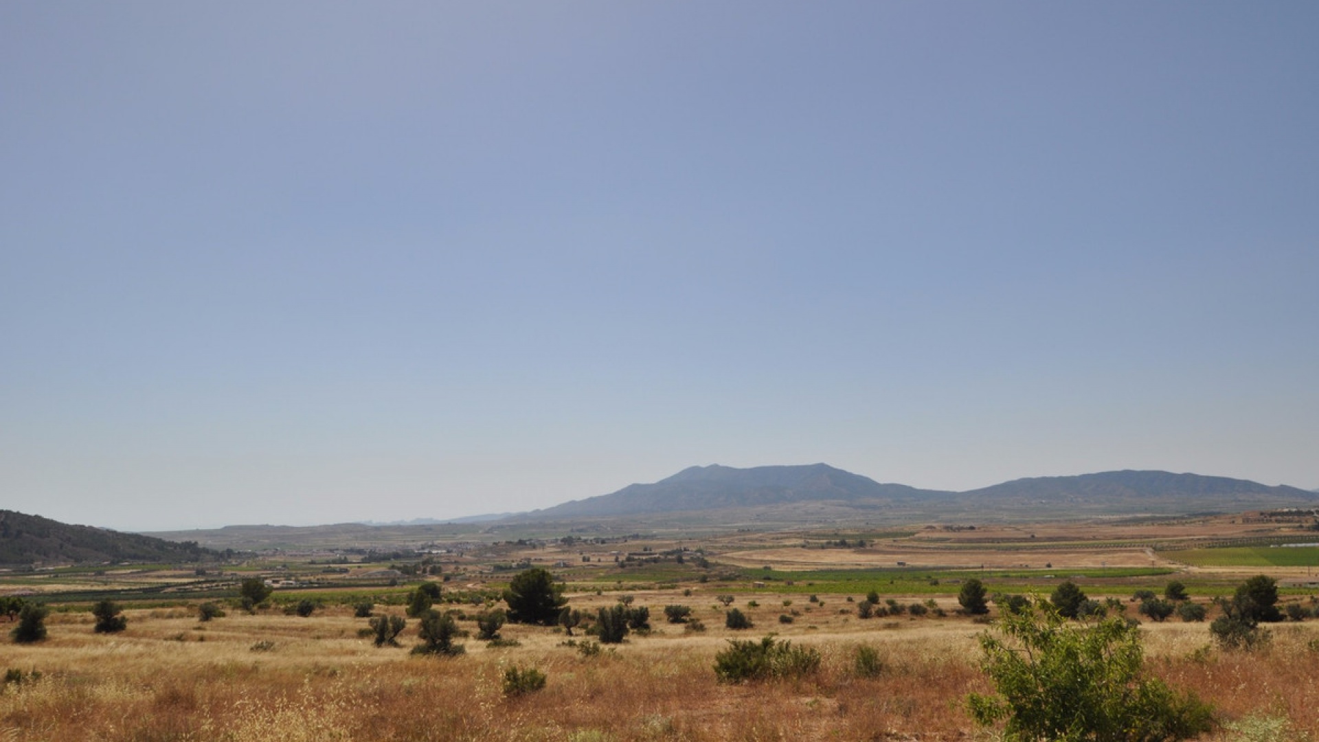 Resale - Land - Pinoso - Pinoso Centro