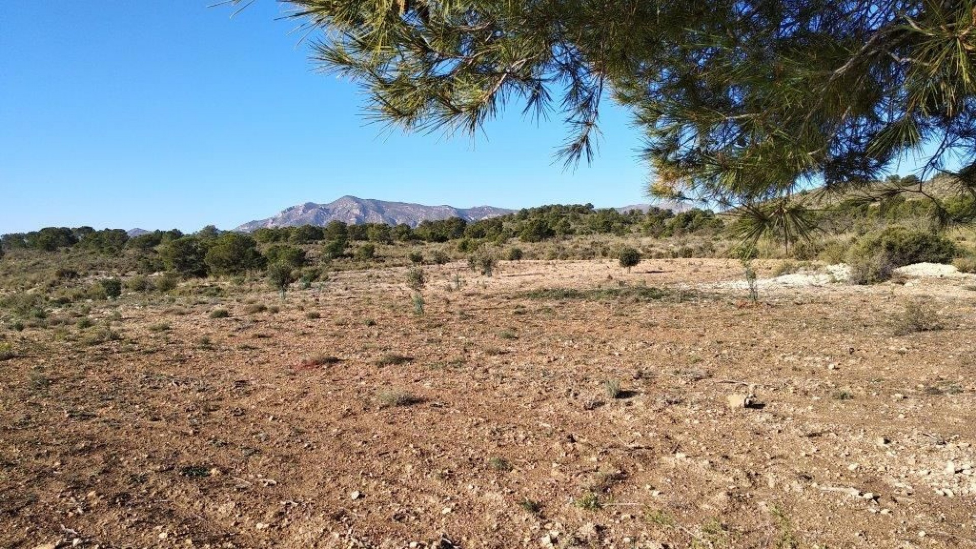 Resale - Land - Relleu - Relleu Centro