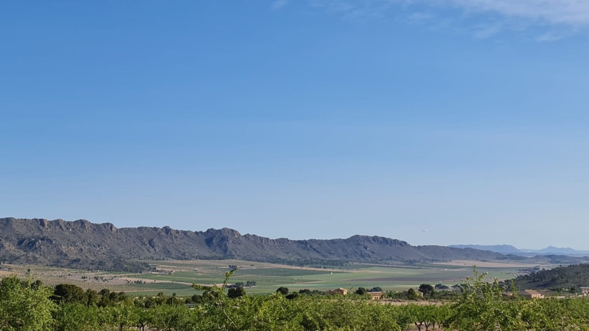 Resale - Land - Yecla - Raspay