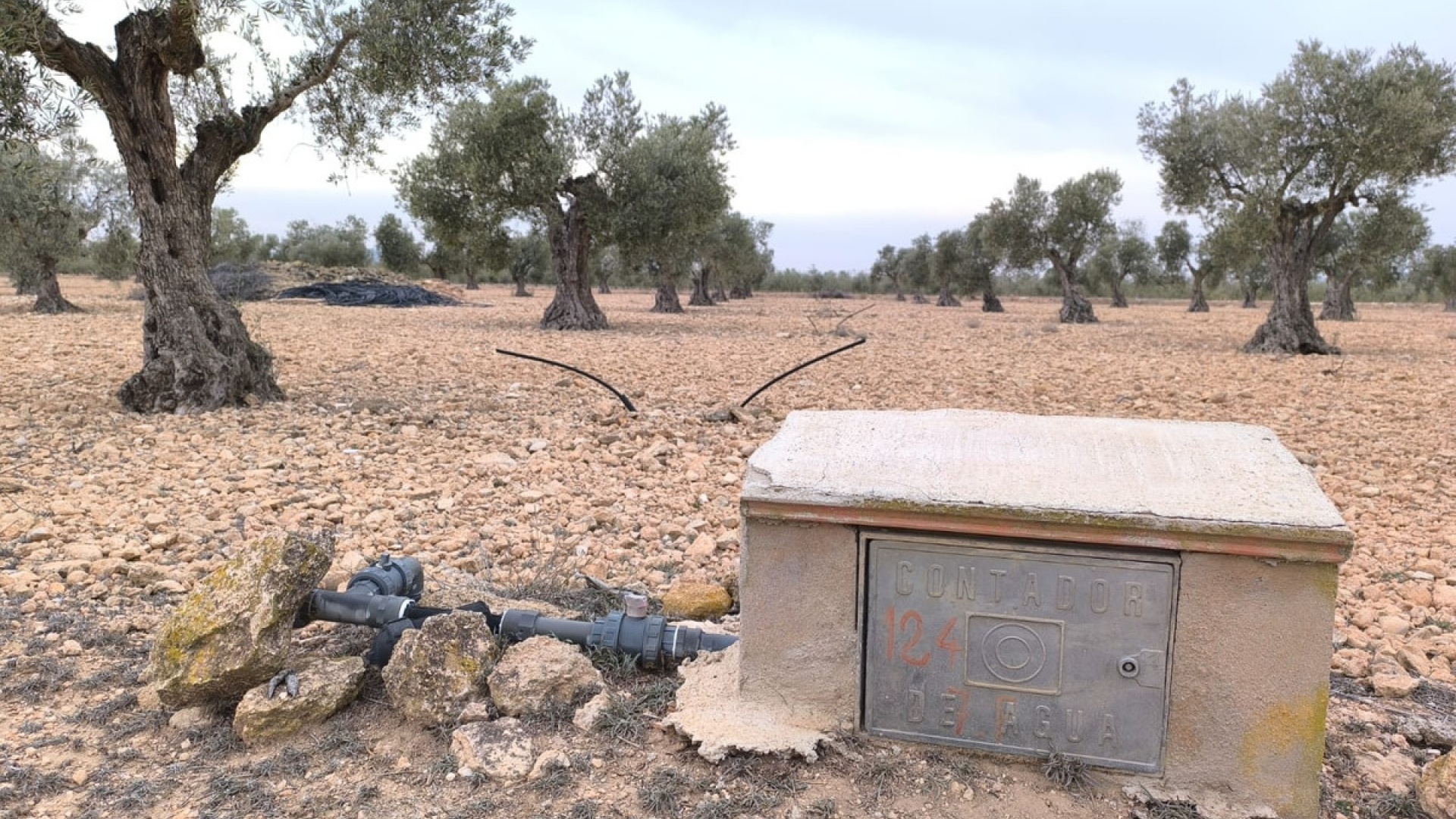 Resale - Land - Yecla - Yecla Centro