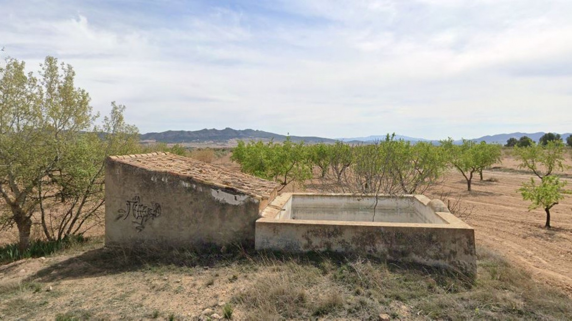 Resale - Land - Yecla - Yecla Centro