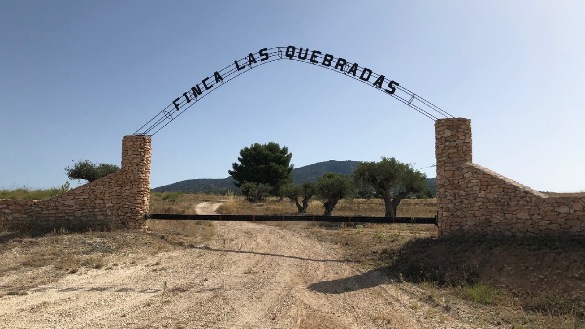 Resale - Land - Yecla - Yecla Centro