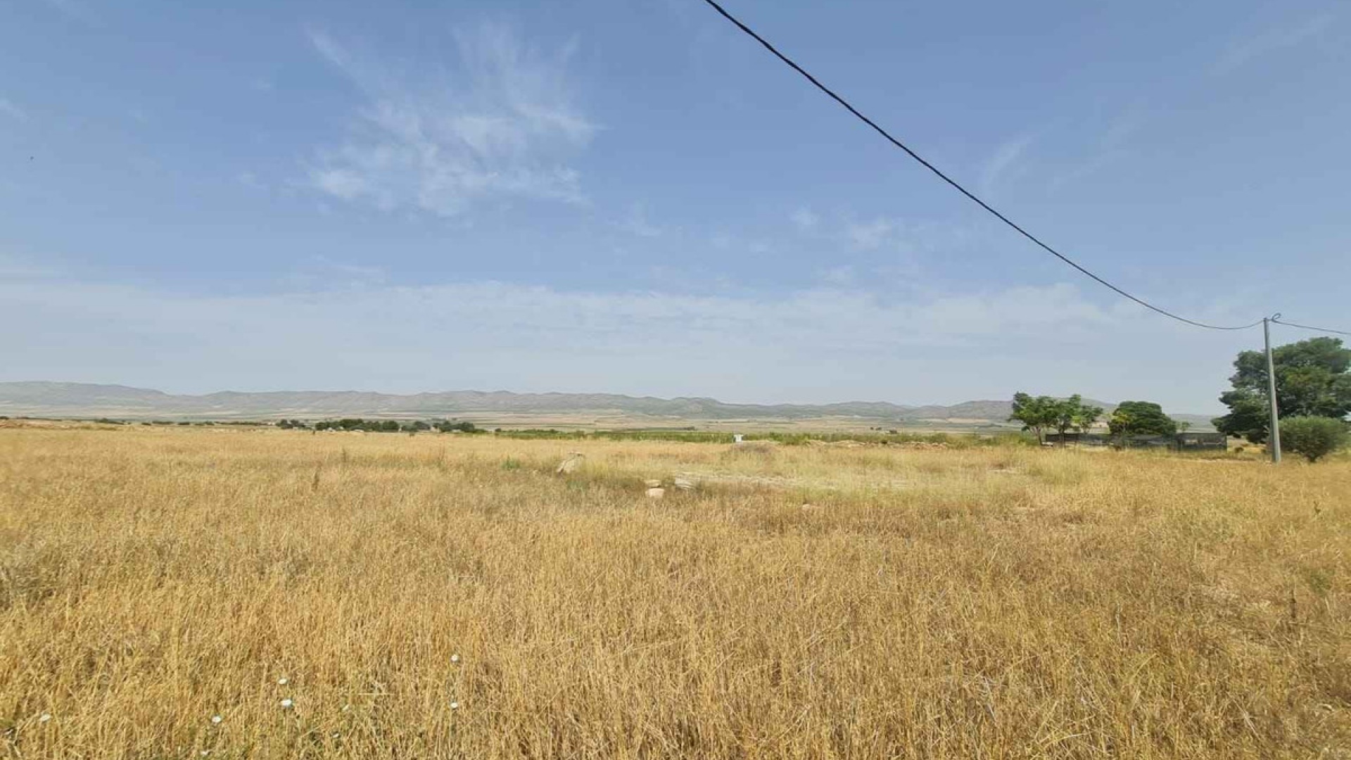 Resale - Land - Yecla - Yecla Centro