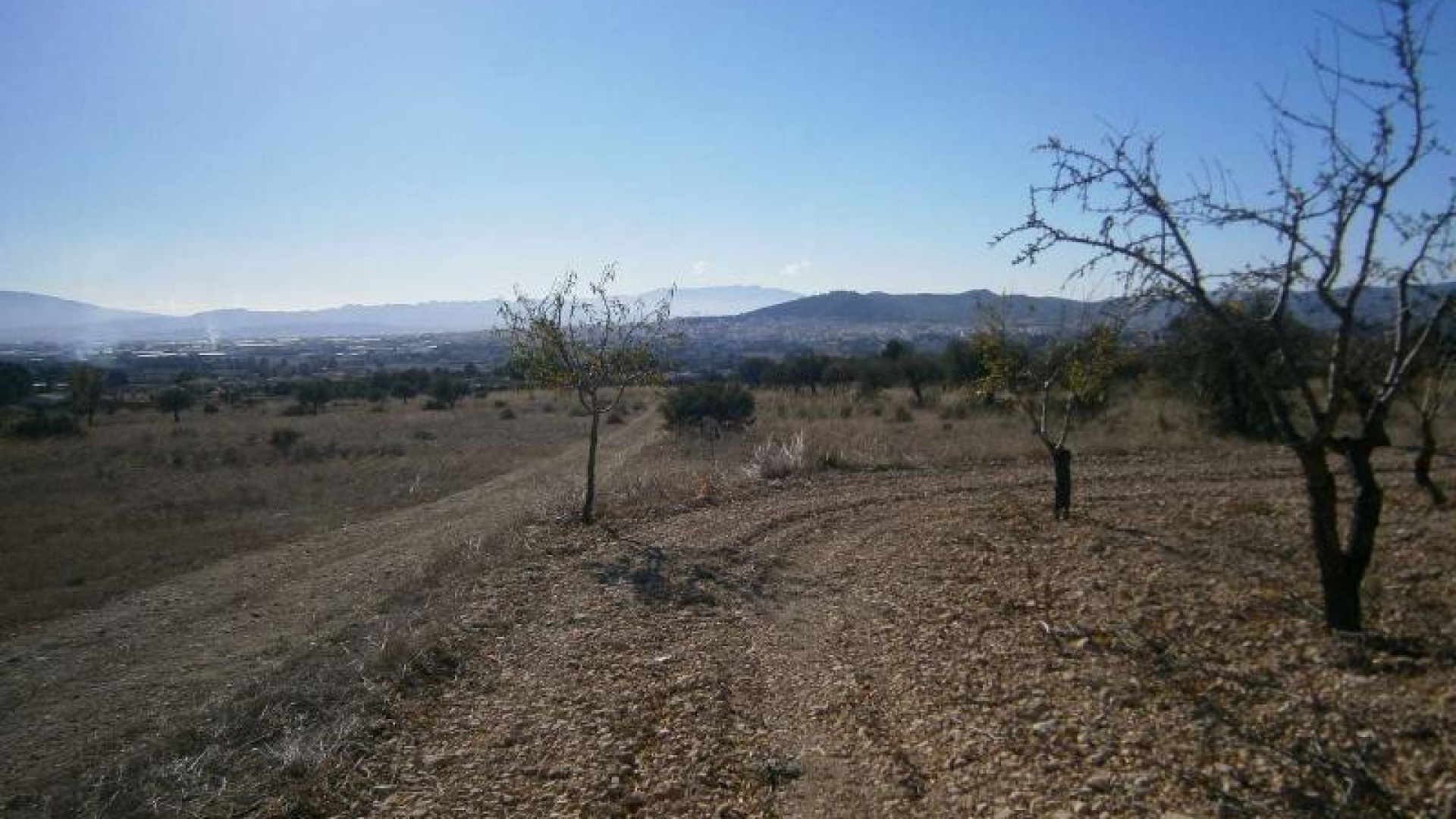 Resale - Land - Yecla - Yecla Centro