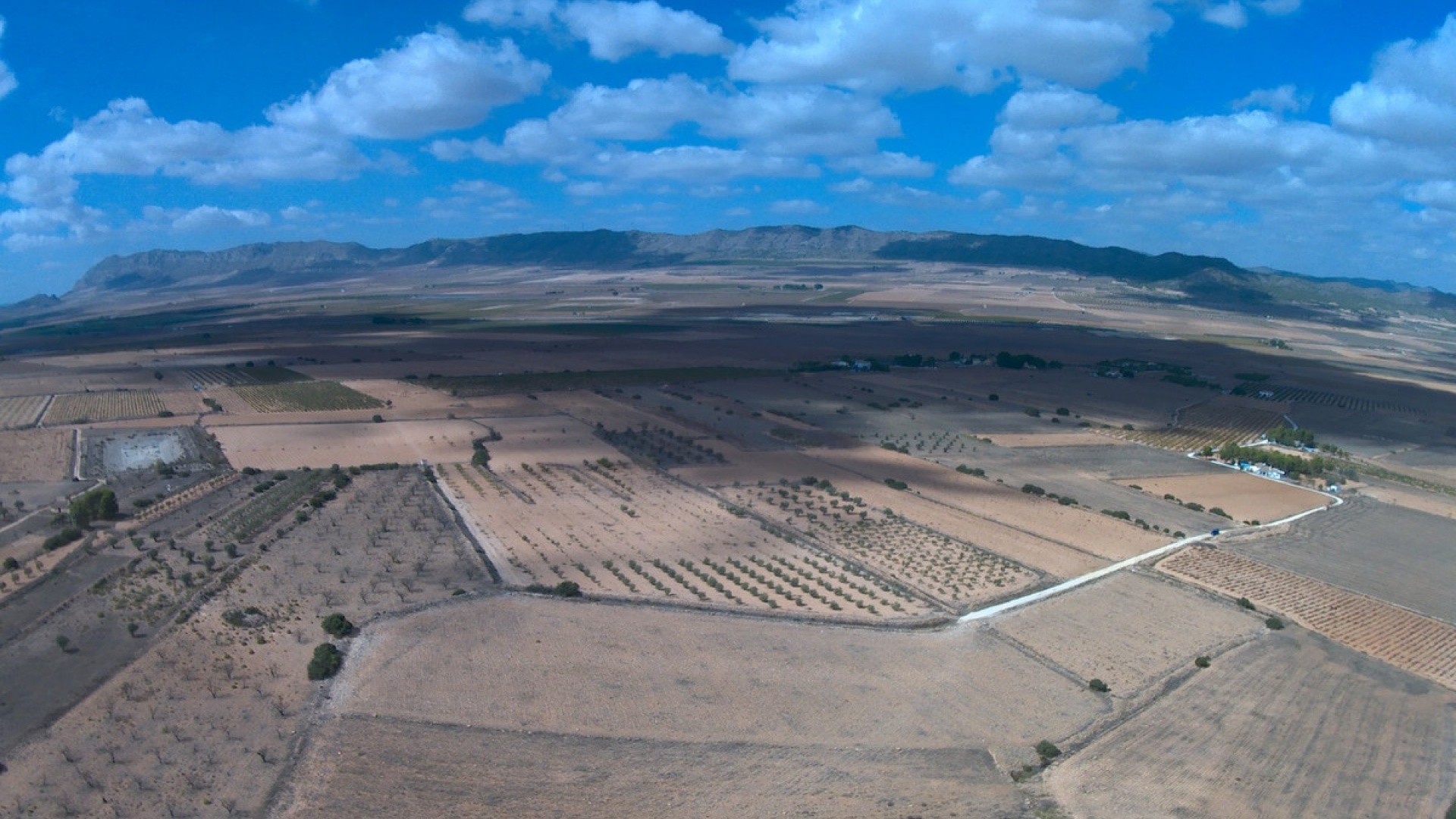 Resale - Land - Yecla - Yecla Centro