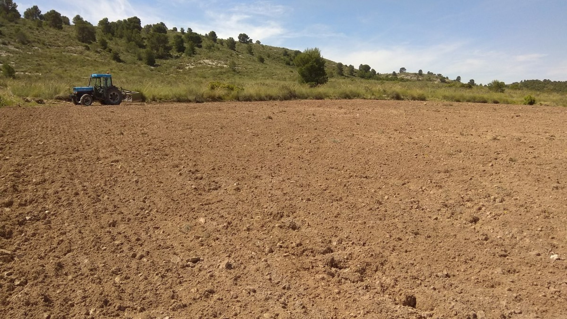 Resale - Land - Yecla - Yecla Centro