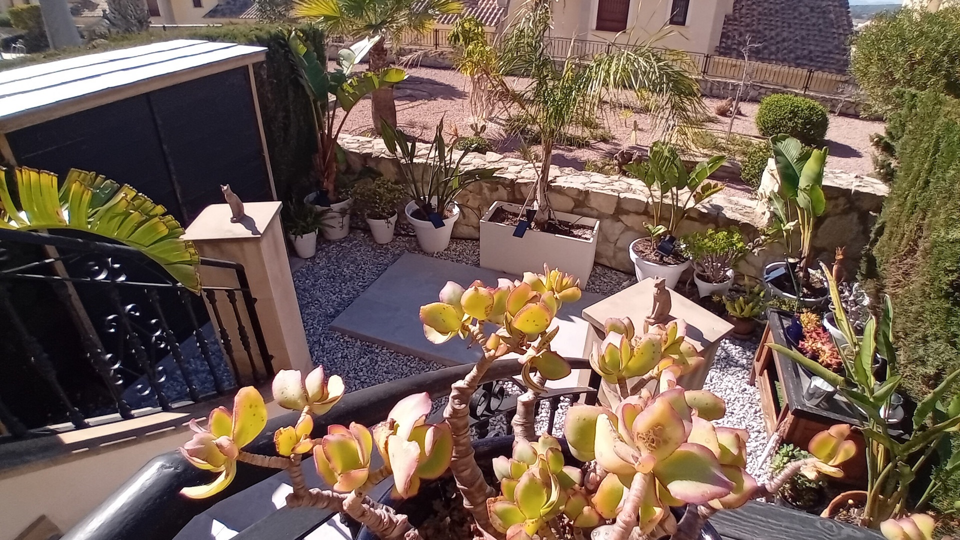 Resale - Townhouse - Algorfa - La Finca Golf