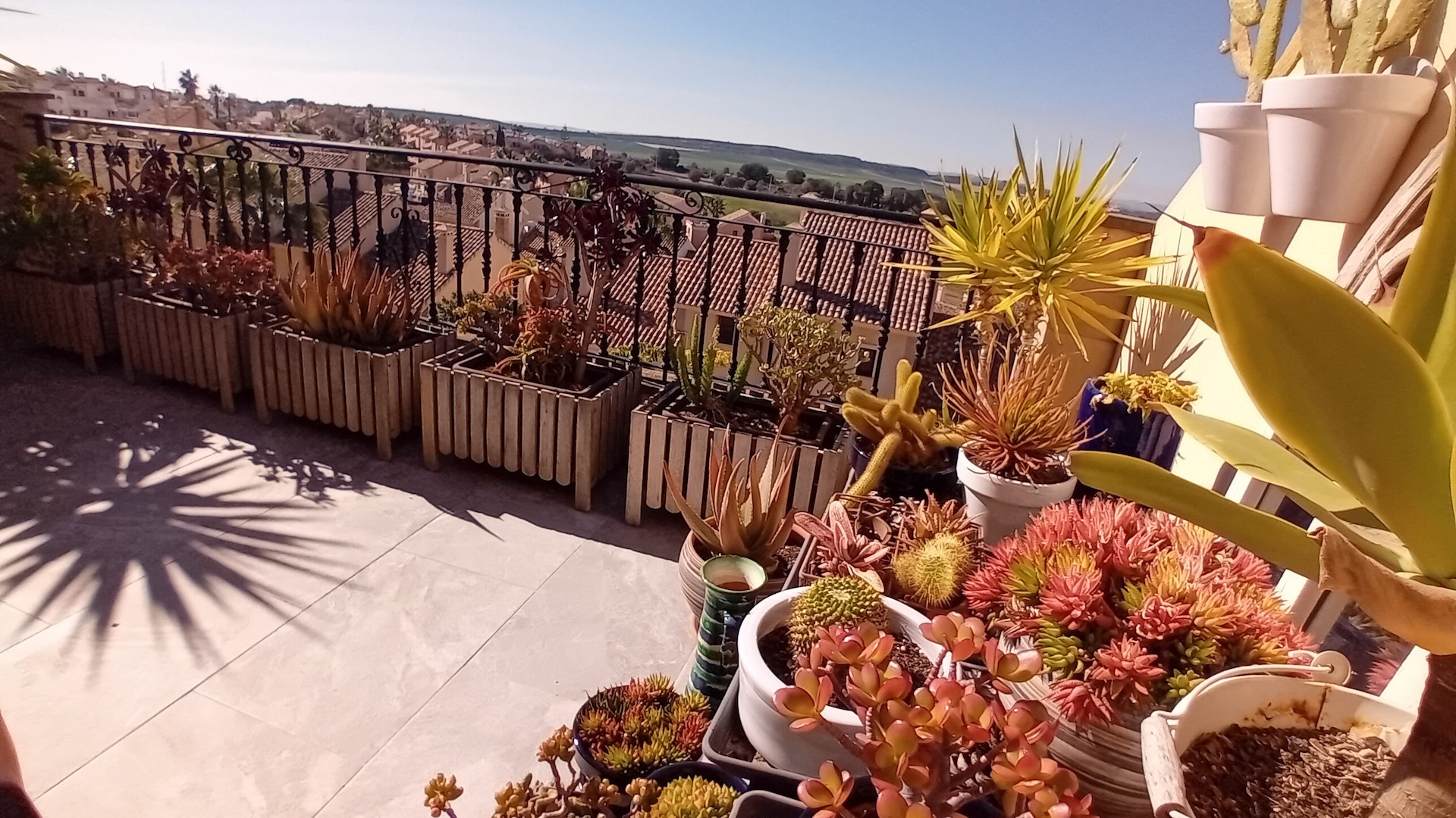 Resale - Townhouse - Algorfa - La Finca Golf