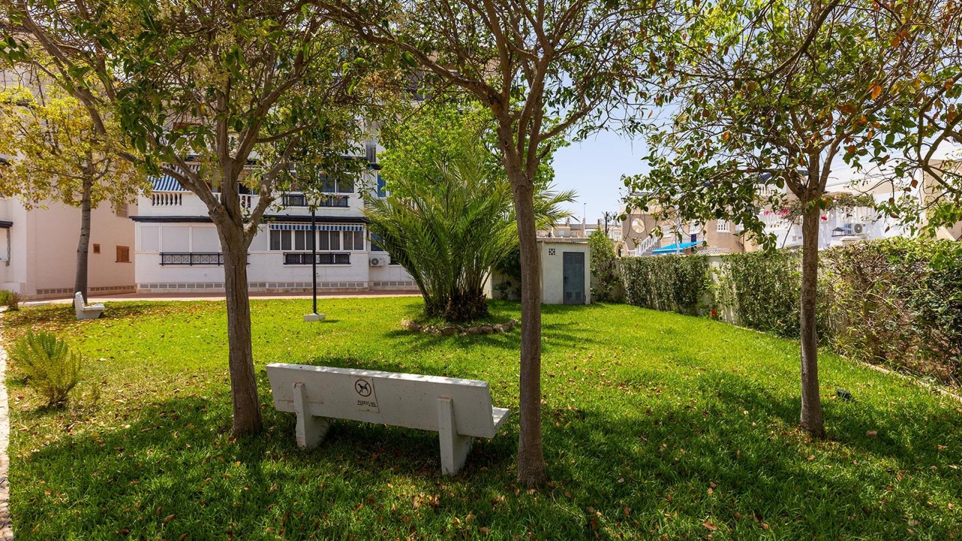 Resale - Townhouse - La Mata - Beachside La Mata