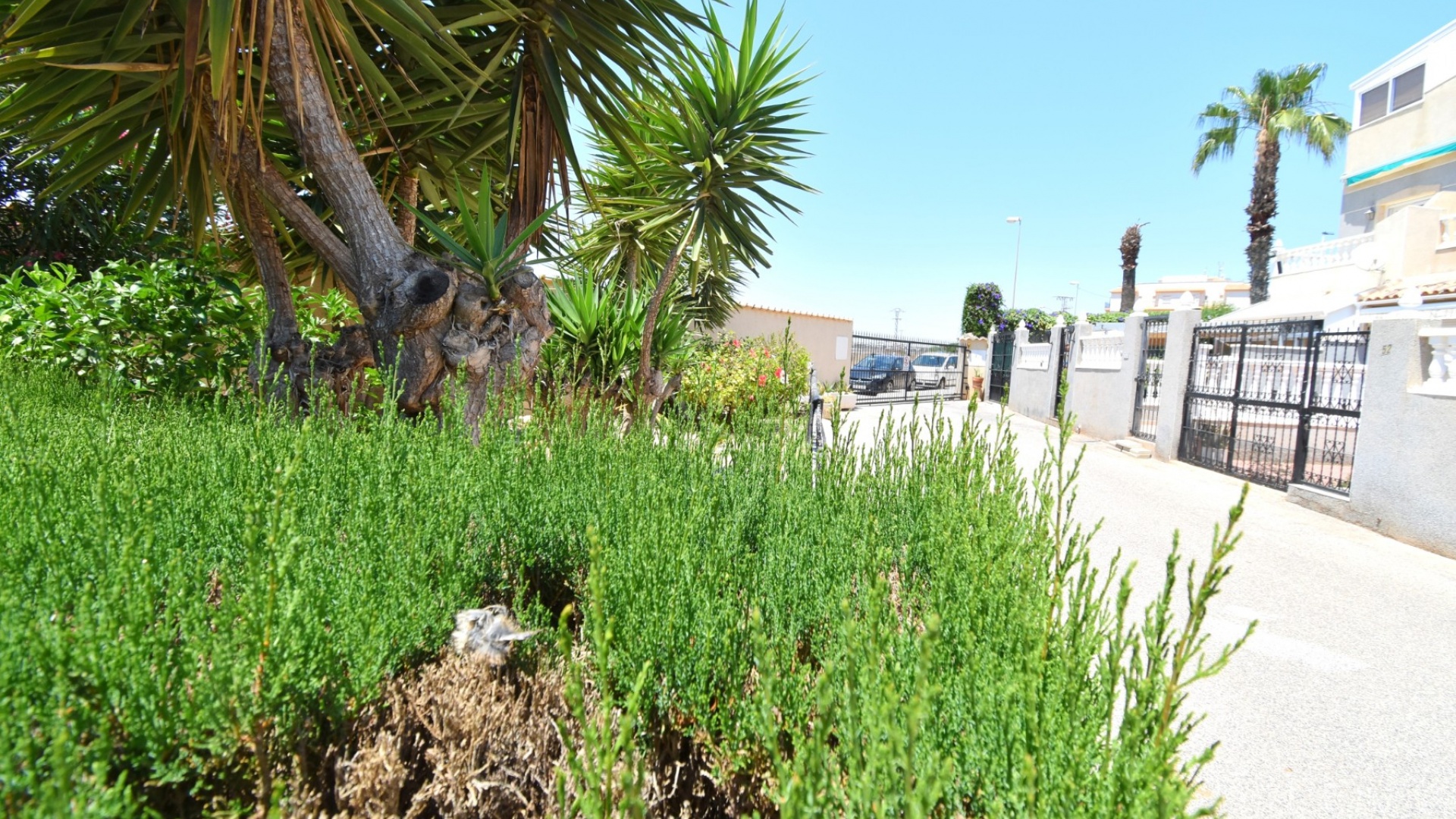 Resale - Townhouse - Orihuela Costa - Playa Flamenca