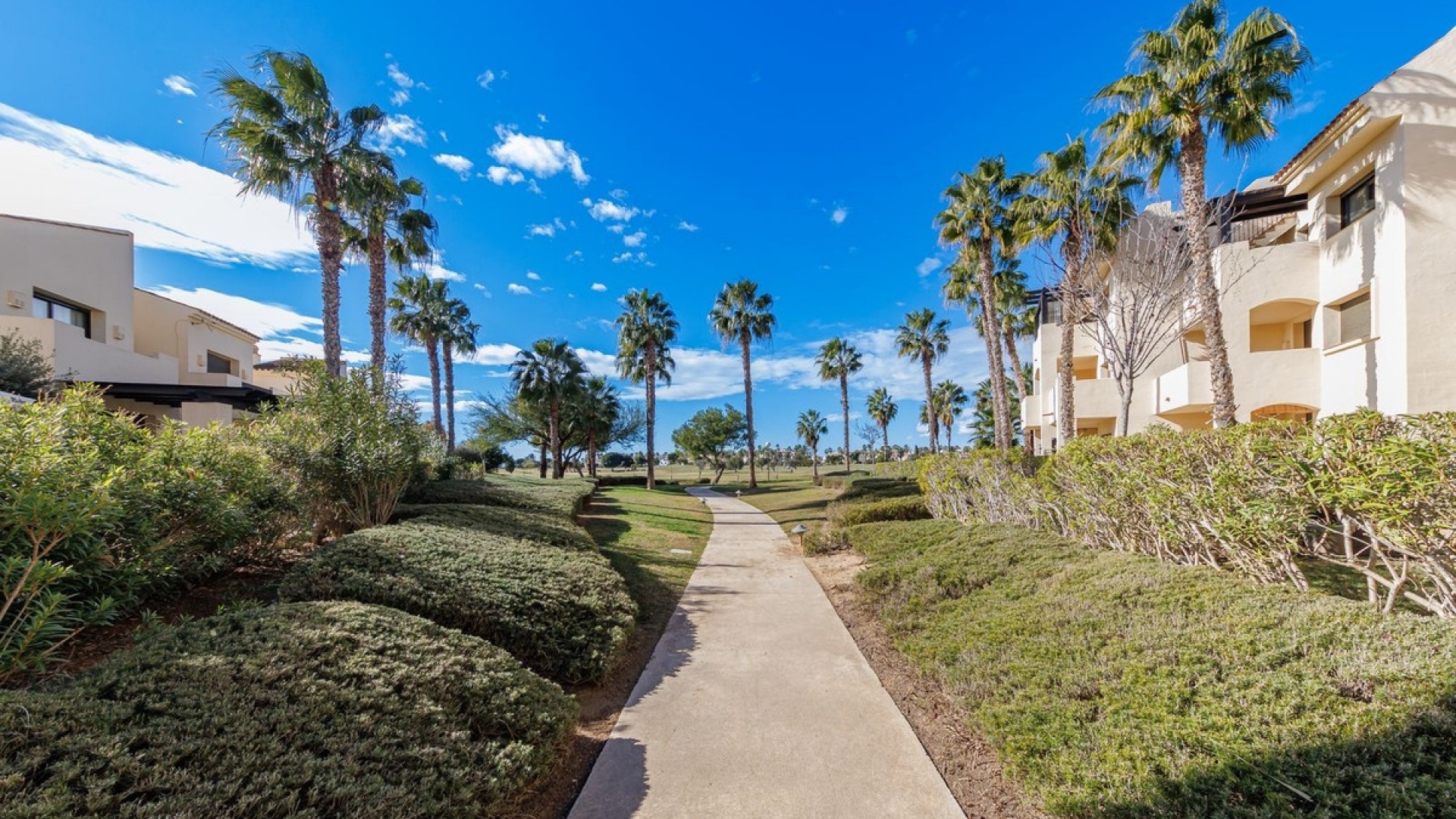Resale - Townhouse - San Javier - Roda Golf
