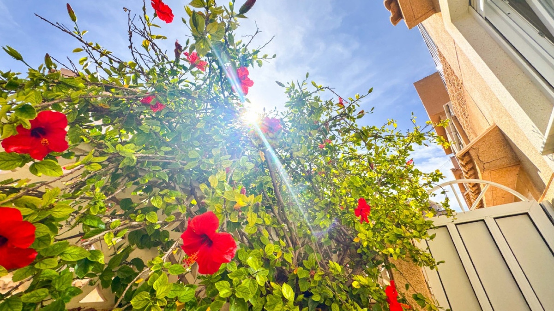 Resale - Townhouse - Torrevieja - Playa De La Mata