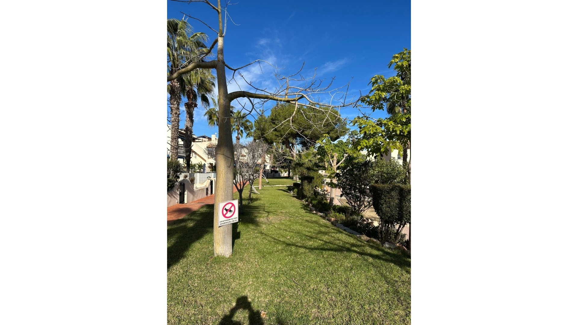 Resale - Townhouse - Villamartin - las ramblas