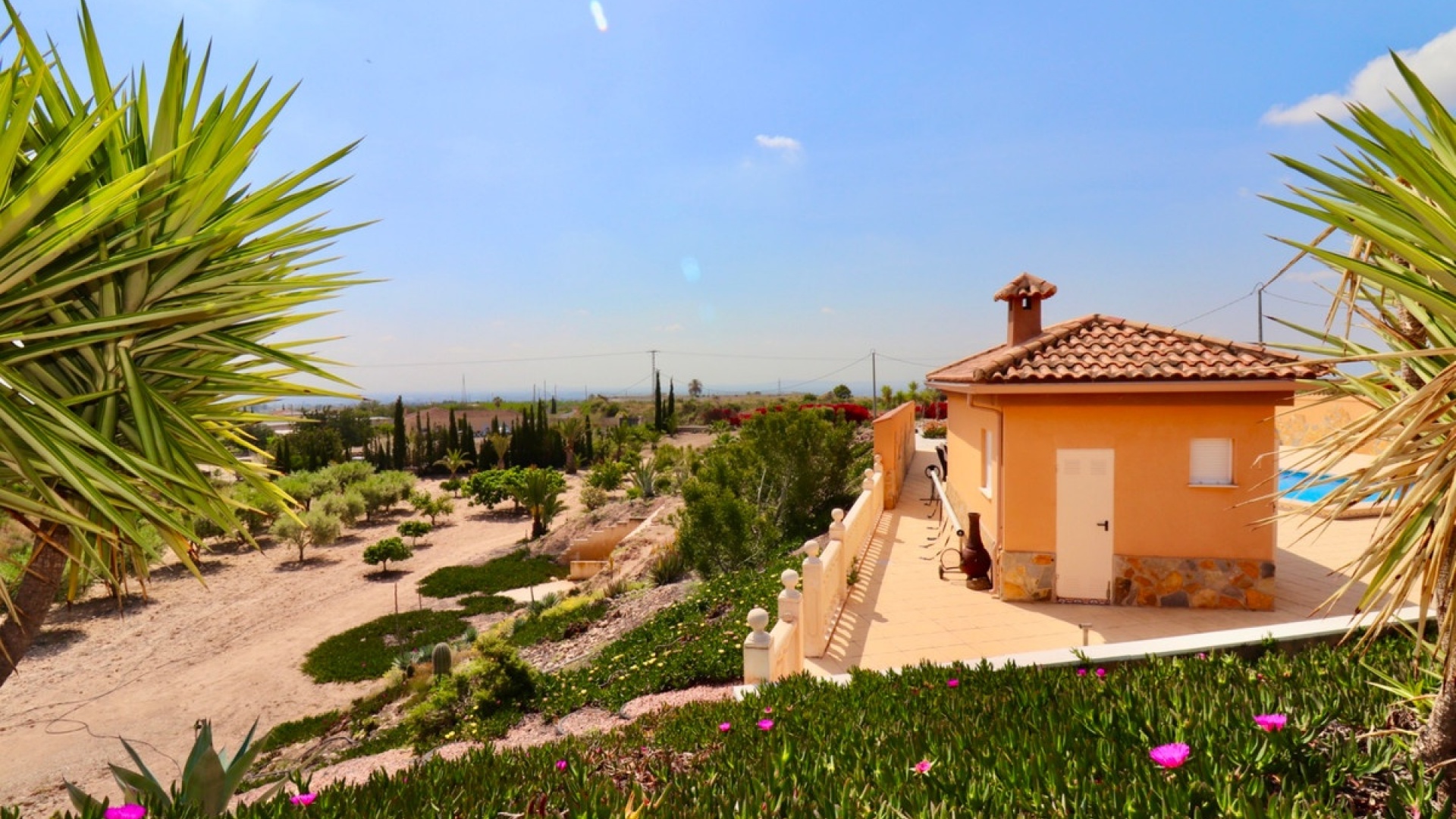 Resale - Villa - Albatera - Albatera Centro