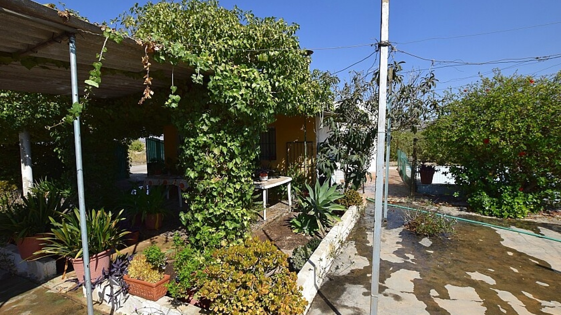 Resale - Villa - Albatera - albatera