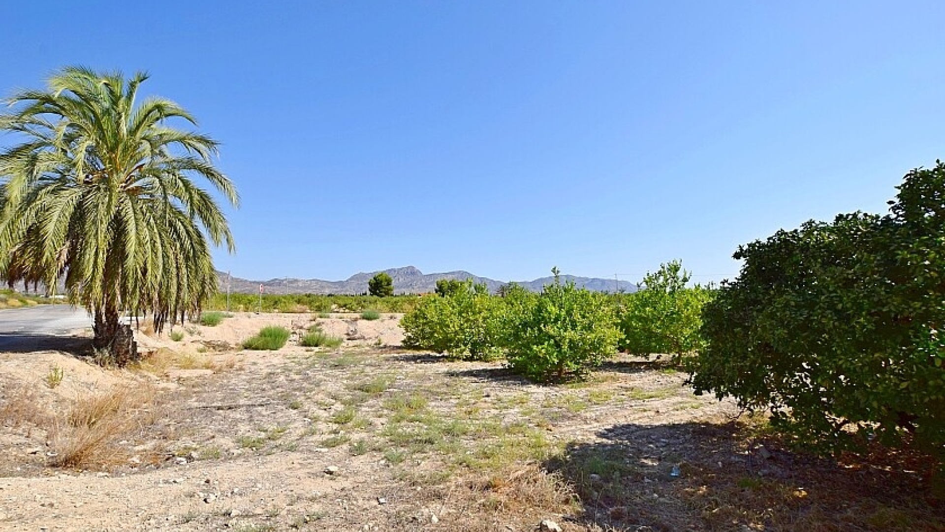 Resale - Villa - Albatera - albatera