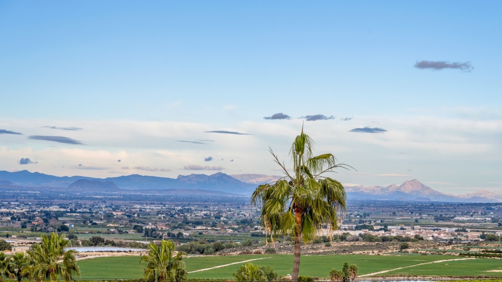 Resale - Villa - Algorfa - Algorfa Centro