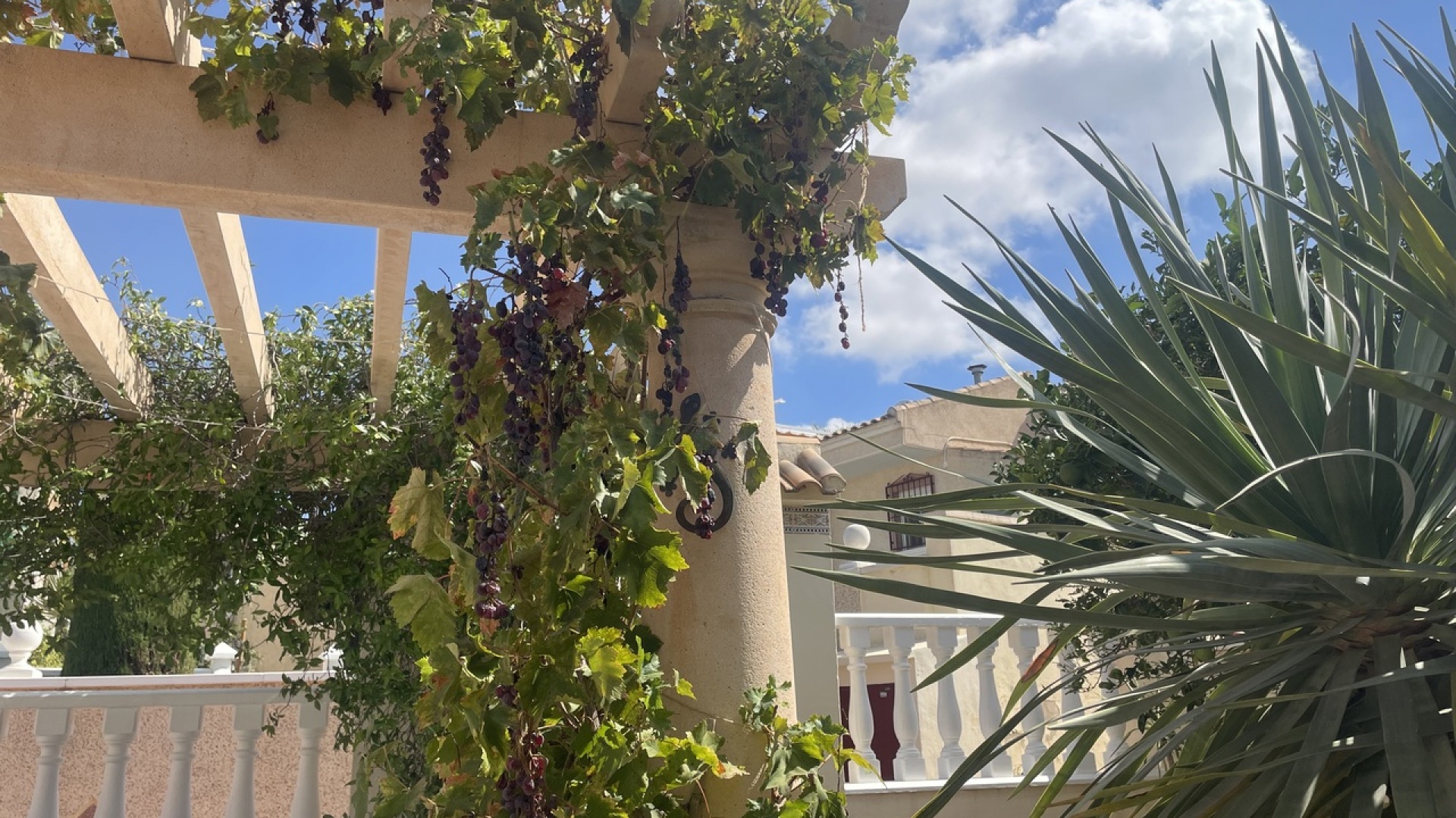 Resale - Villa - Algorfa - Montemar