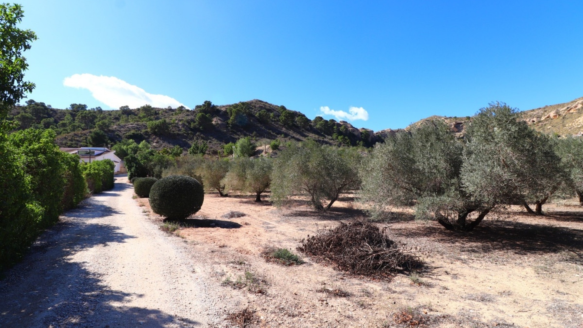 Resale - Villa - Aspe - Aspe Centro