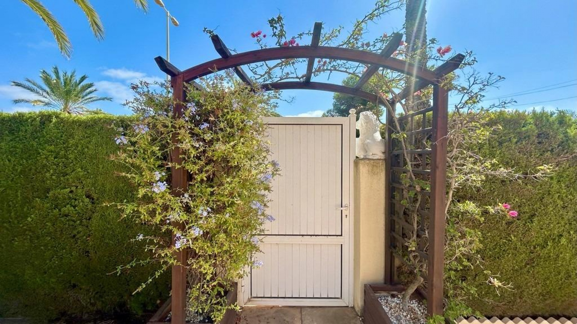 Resale - Villa - Cabo Roig - beachside cabo roig