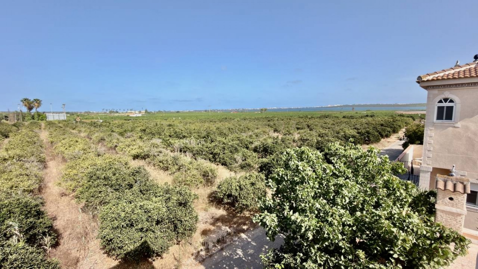 Resale - Villa - Ciudad Quesada - Dona Pepa