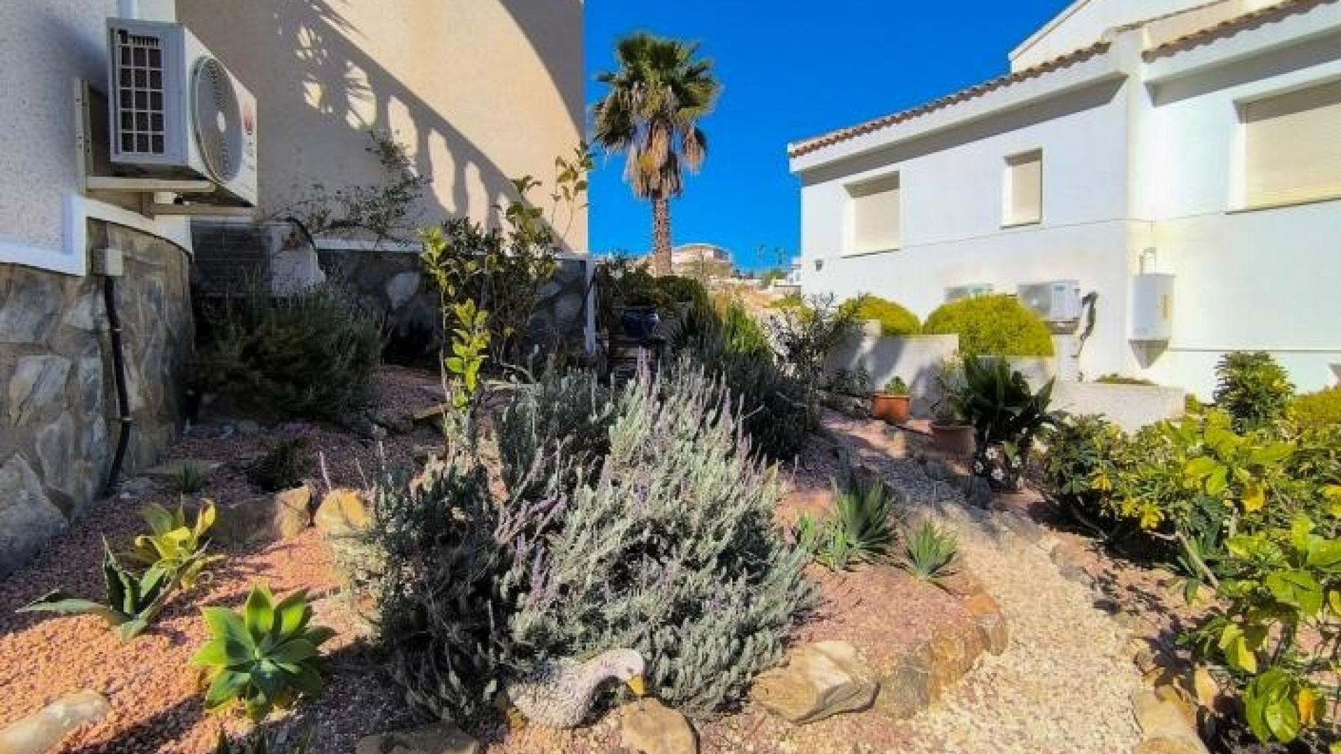 Resale - Villa - Ciudad Quesada - La Marquesa Golf