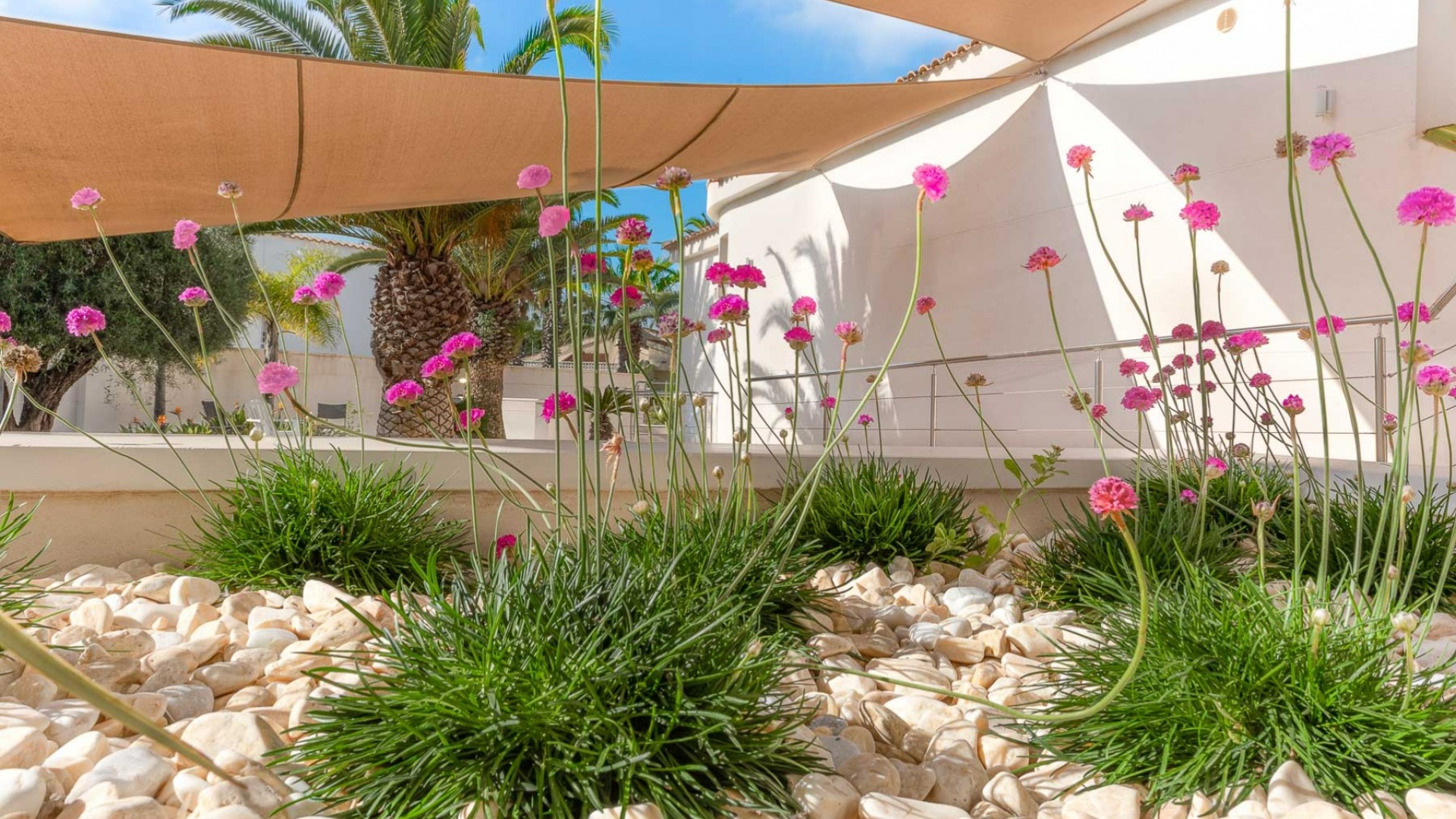 Resale - Villa - Ciudad Quesada - Town Center