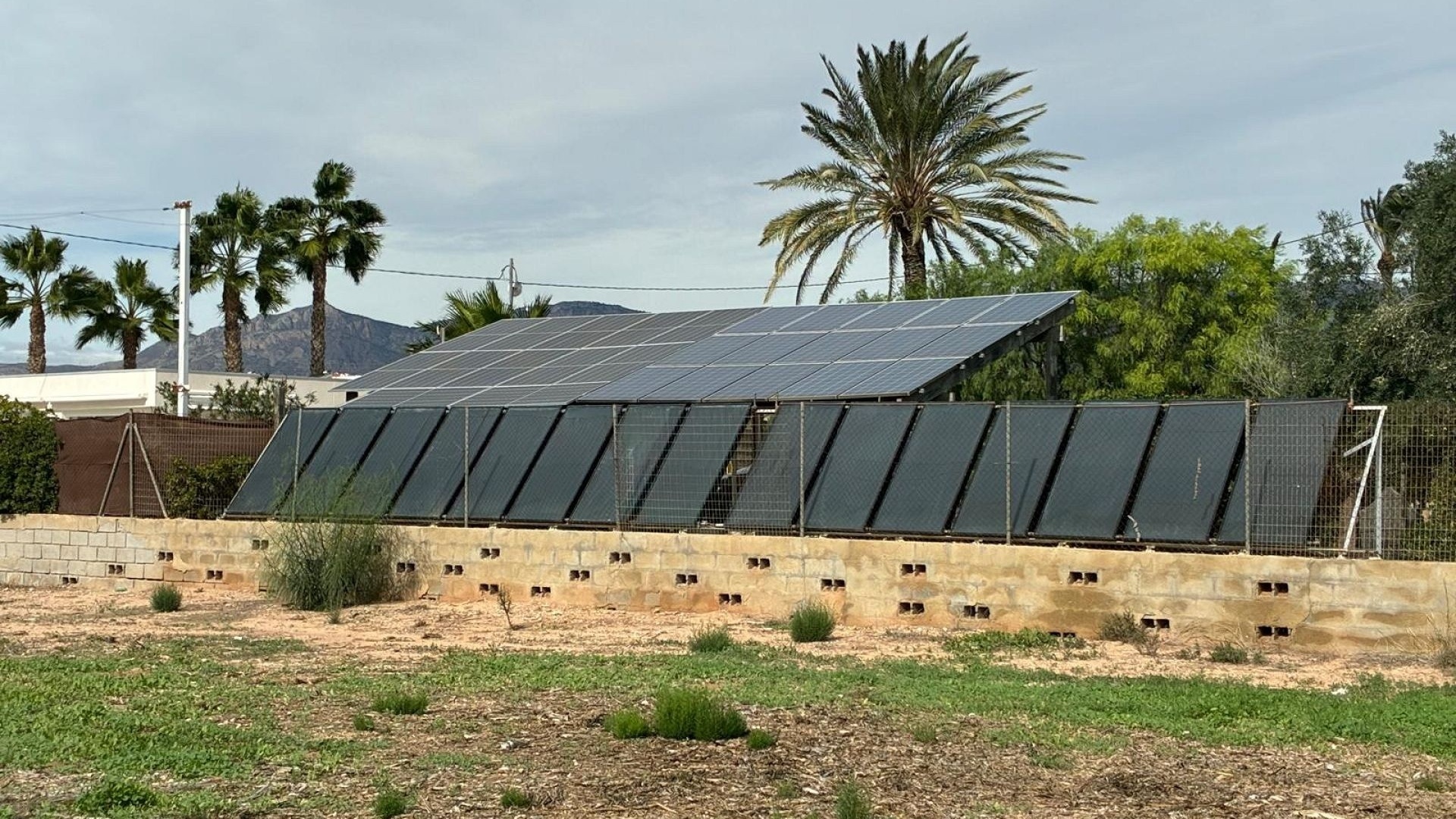 Resale - Villa - Crevillente - crevillente