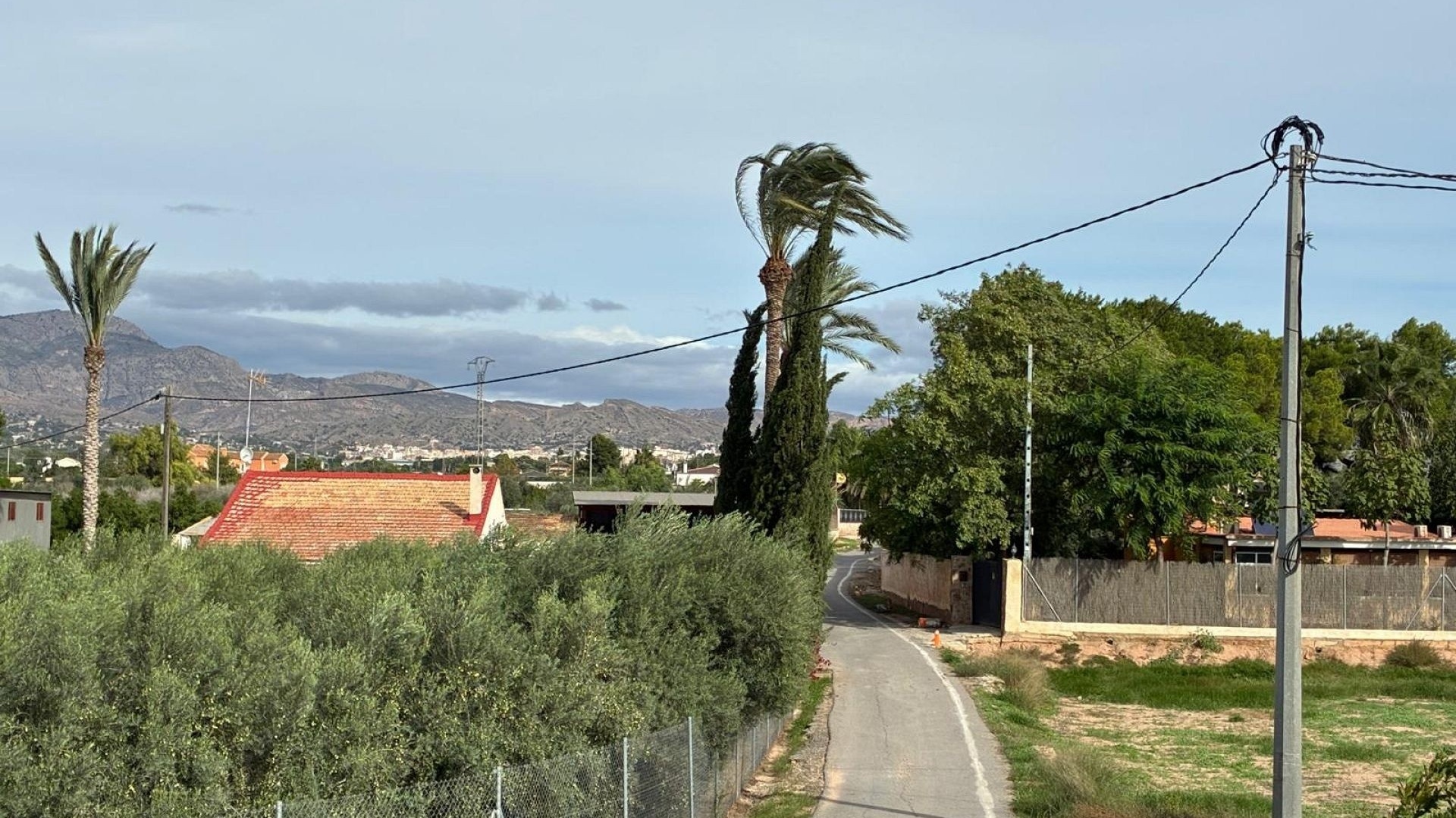 Resale - Villa - Crevillente - crevillente