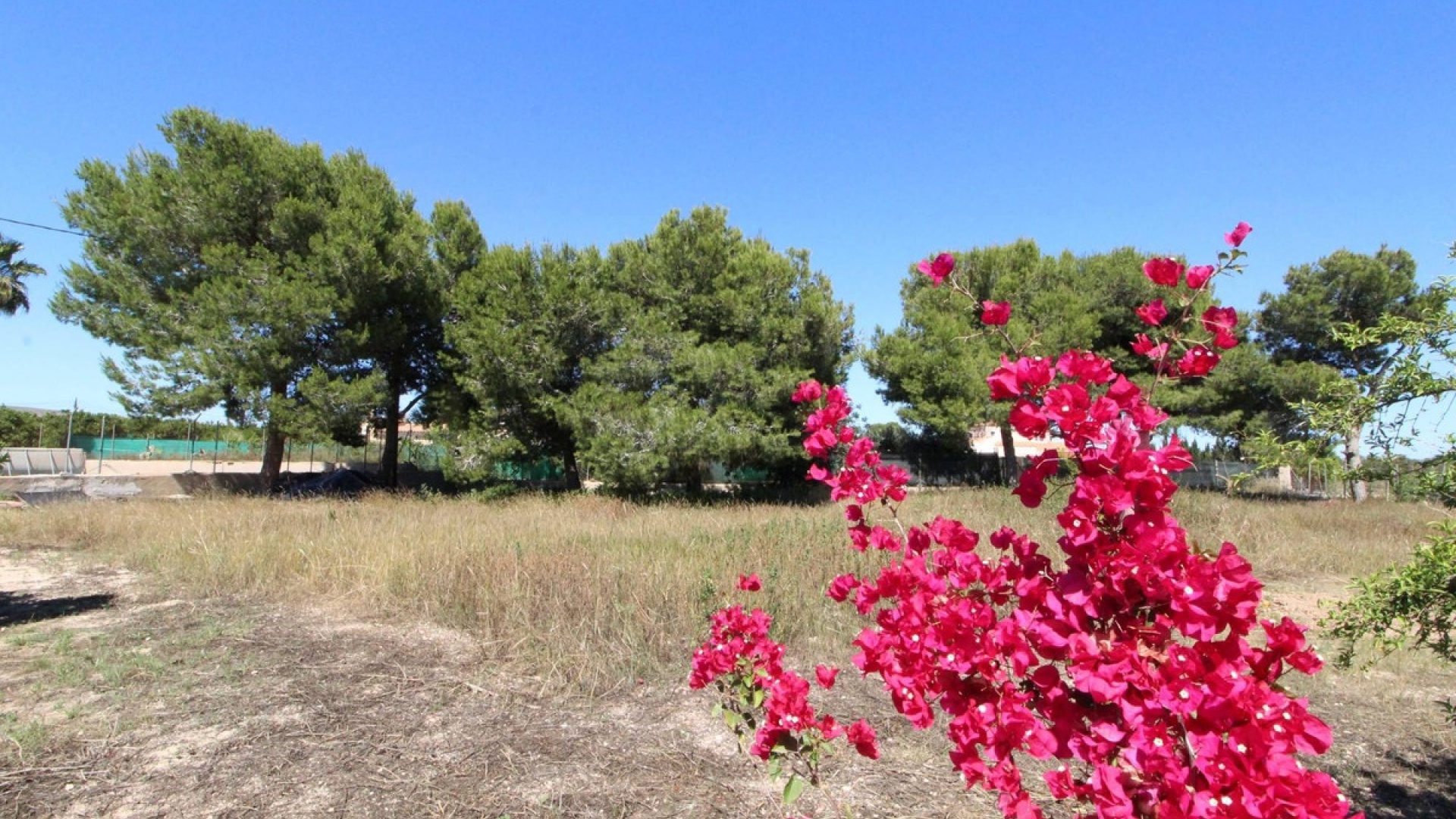 Resale - Villa - Elche - Elche Centro