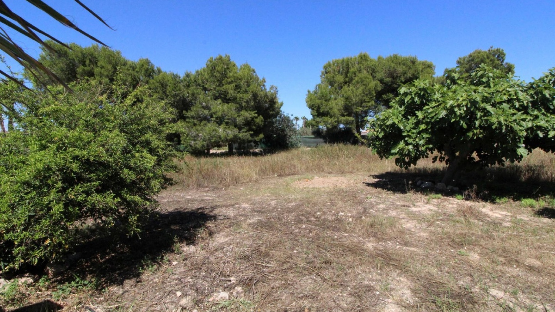 Resale - Villa - Elche - Elche Centro