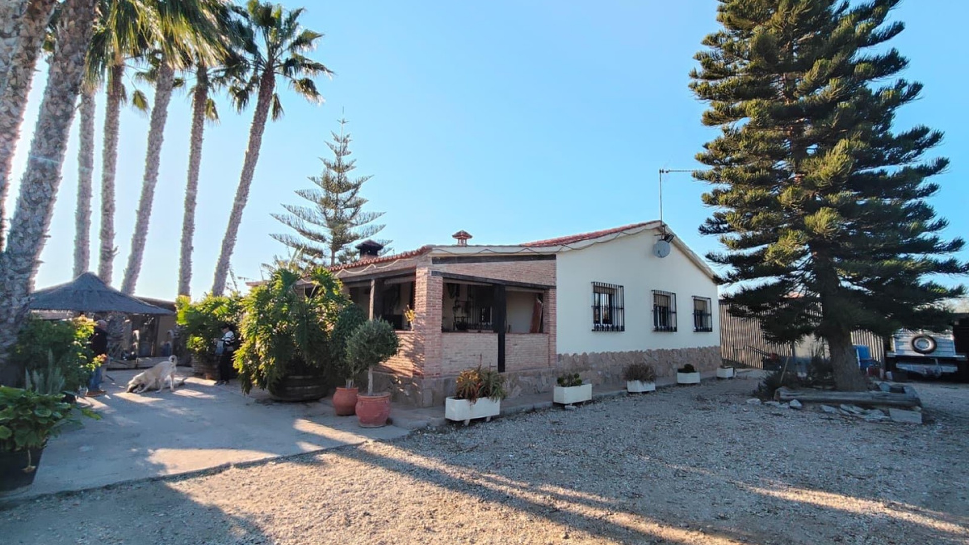 Resale - Villa - Elche - Las Bayas