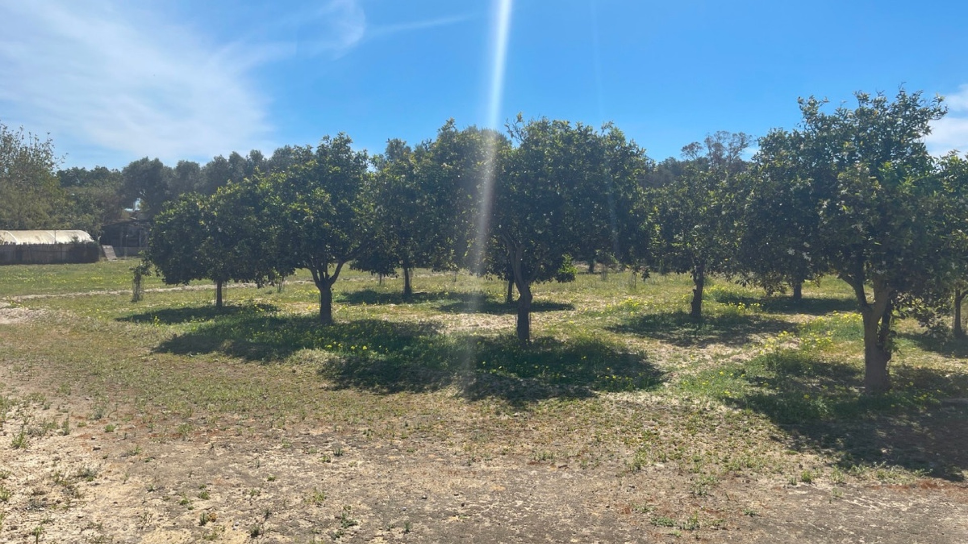 Resale - Villa - Guardamar del Segura - Guardamar del Segura Centro