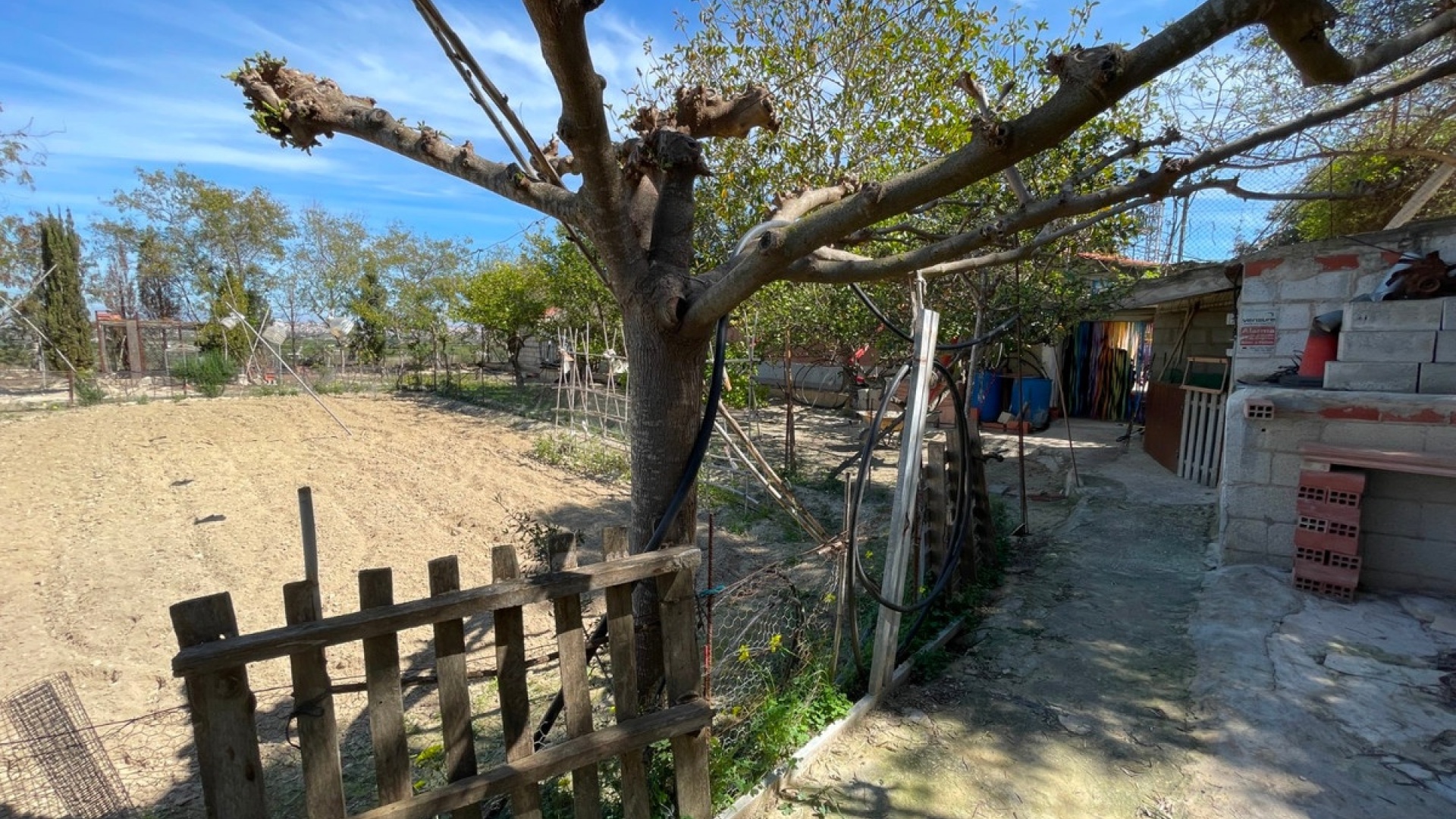 Resale - Villa - Guardamar del Segura - Guardamar del Segura Centro