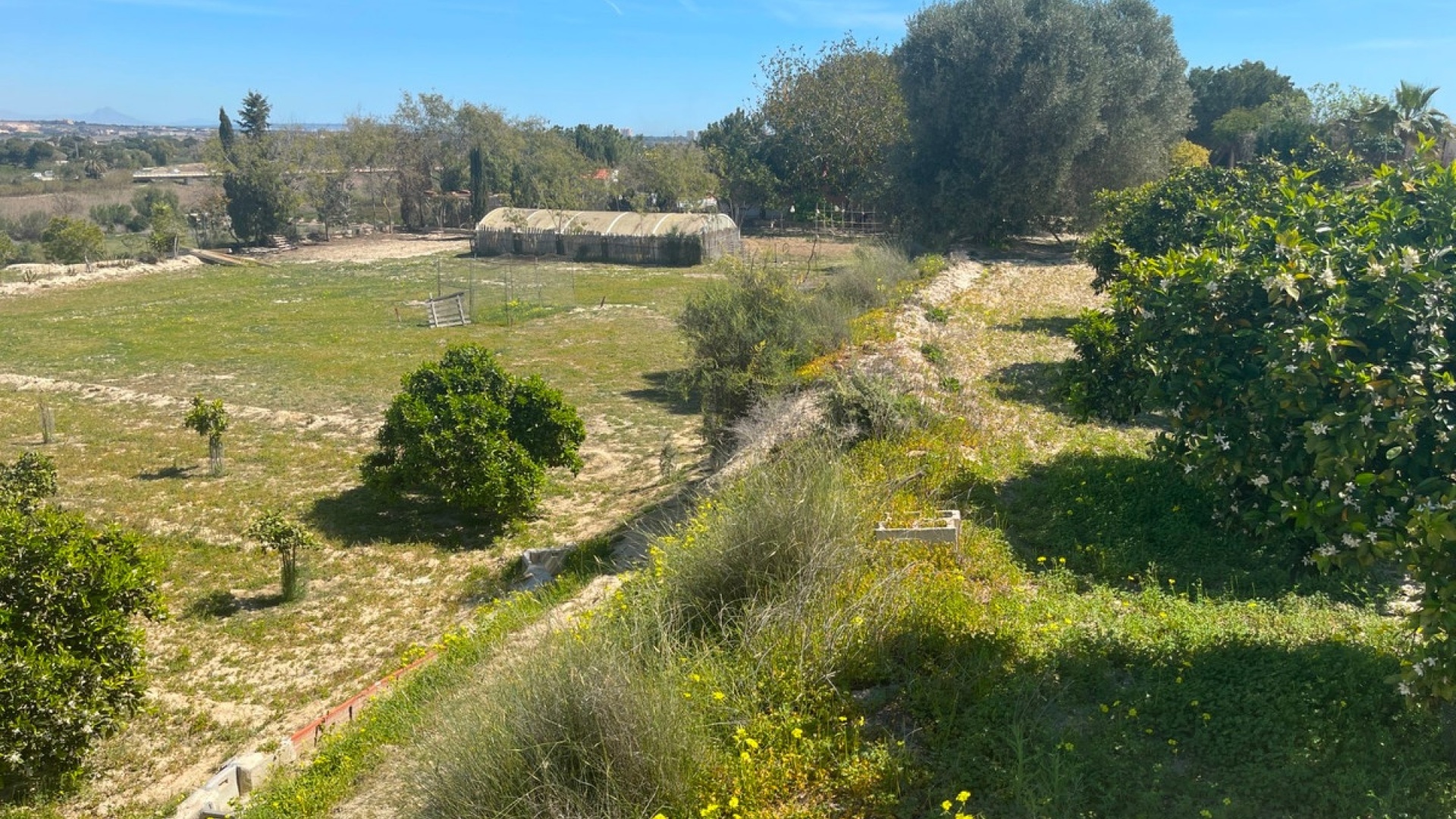 Resale - Villa - Guardamar del Segura - Guardamar del Segura Centro