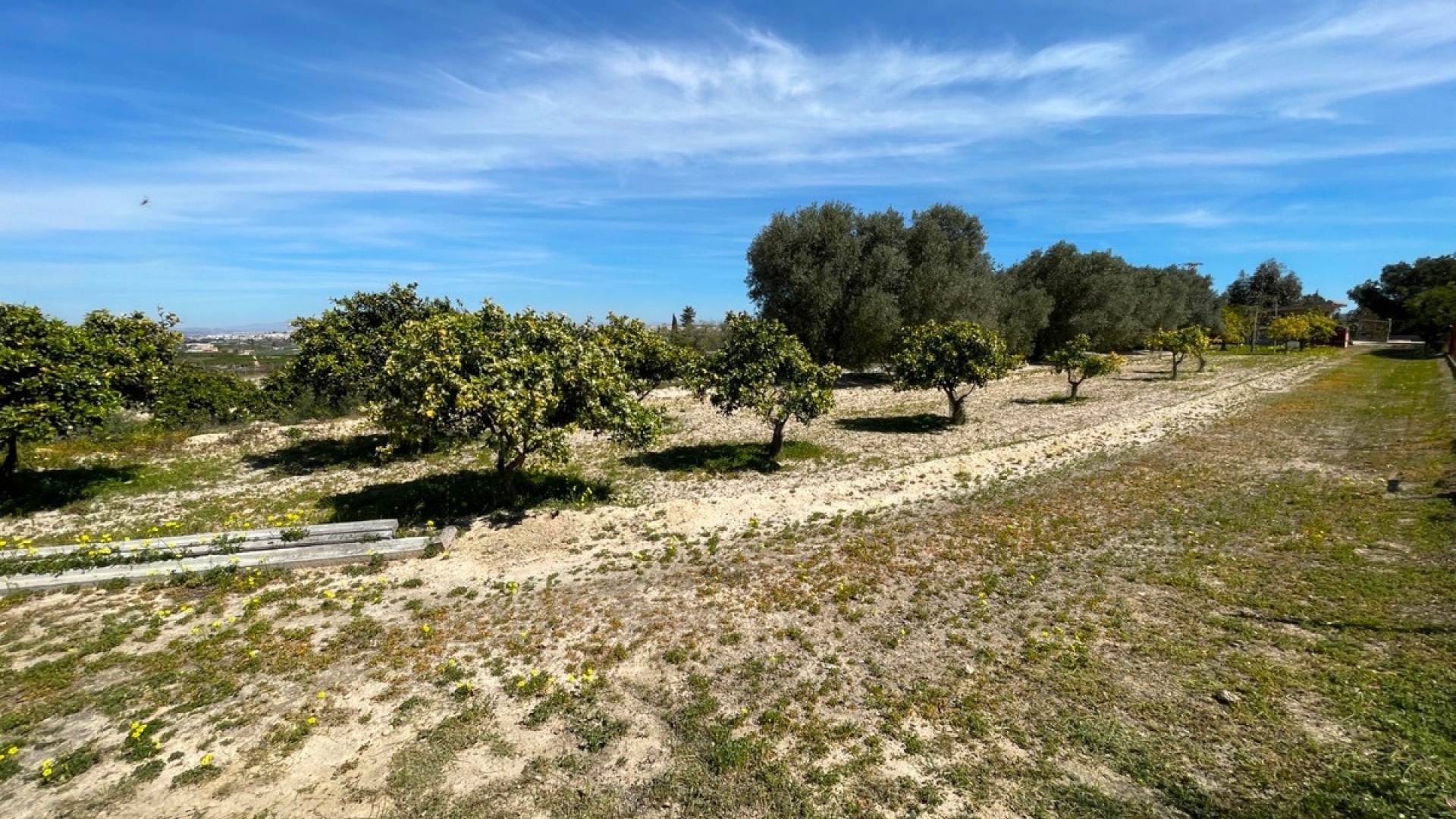 Resale - Villa - Guardamar del Segura - Guardamar del Segura Centro