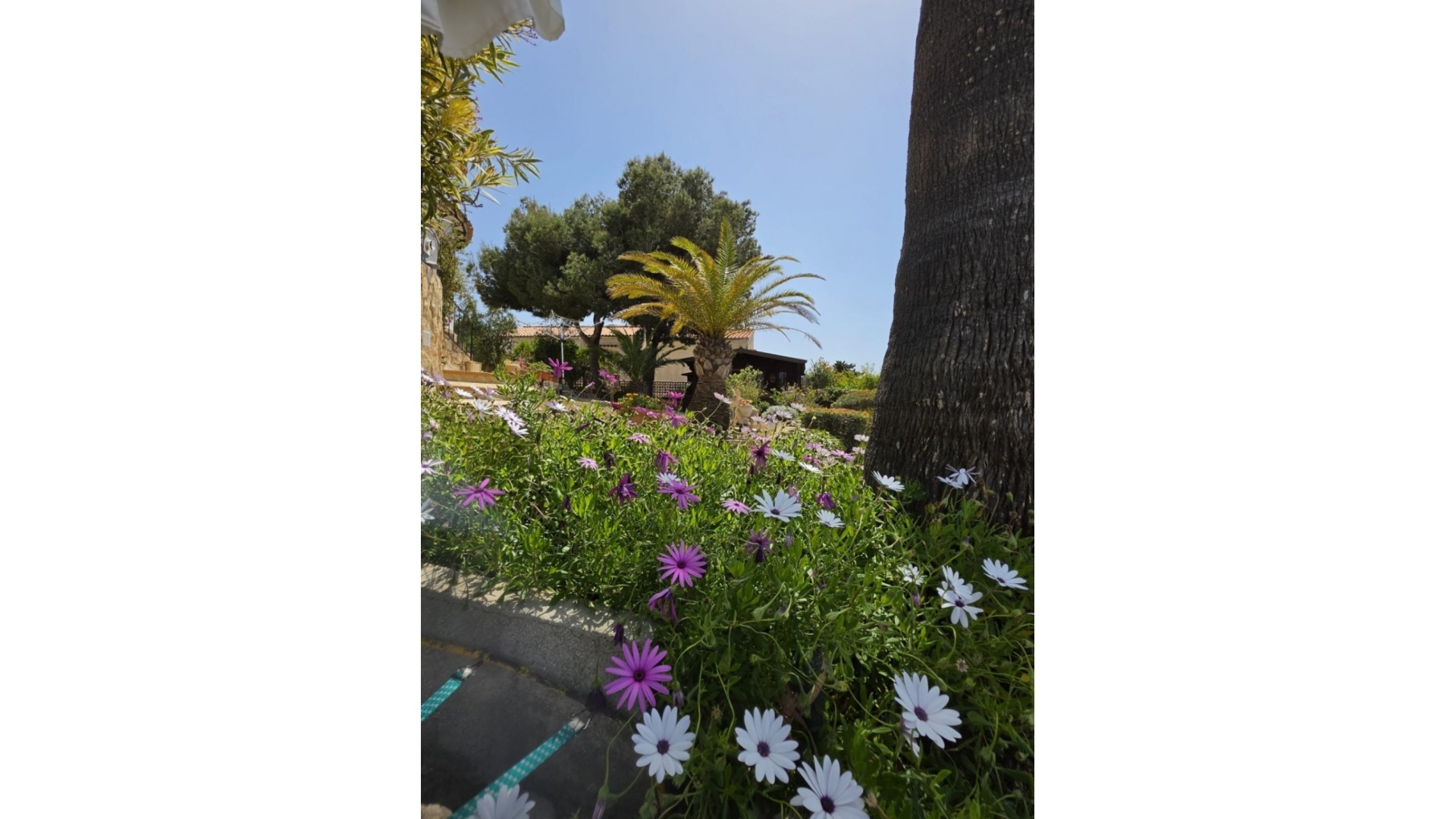 Resale - Villa - Javea - Jávea - Xàbia Centro